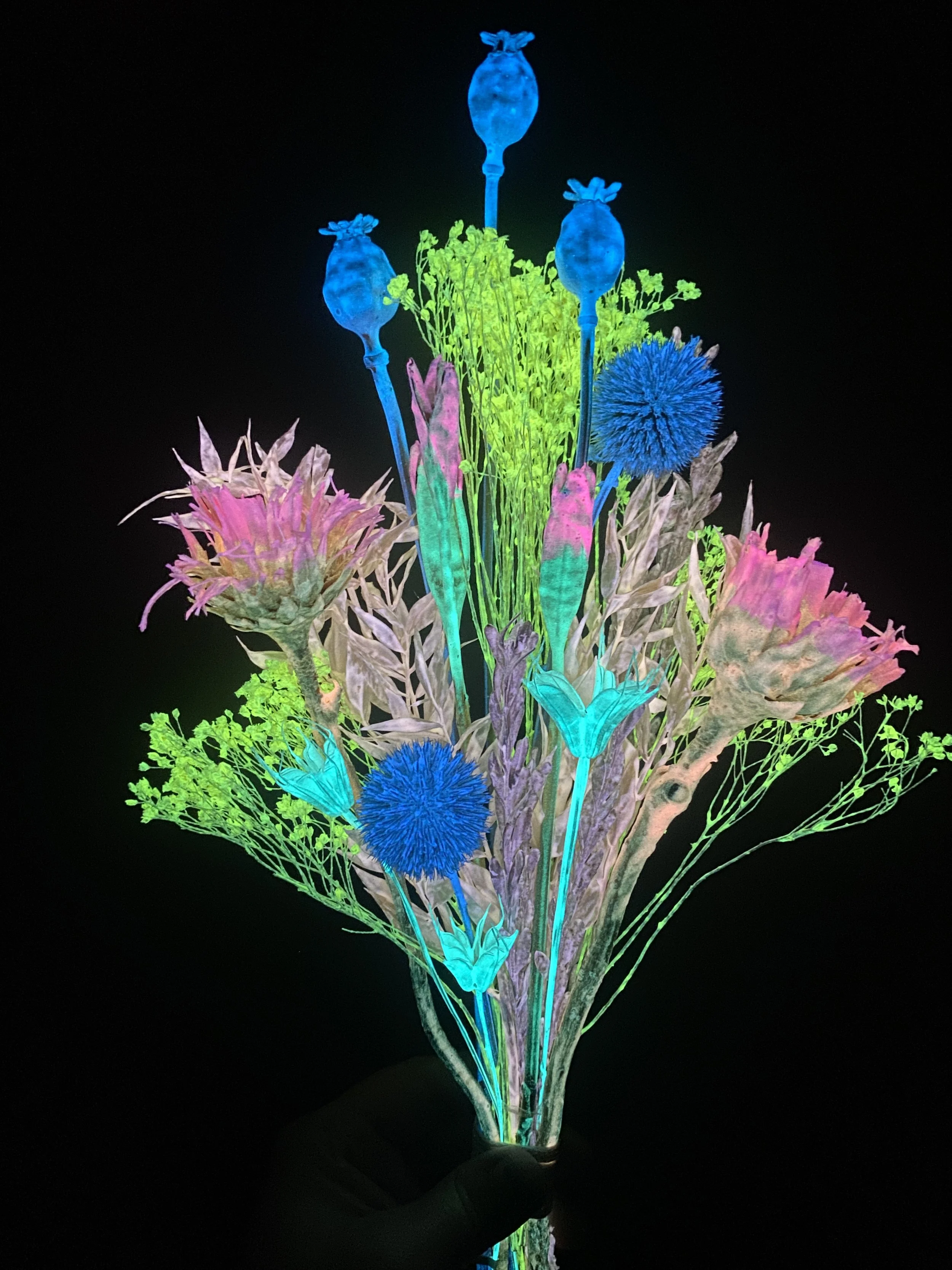 Photo Apr 28 2026, 1 25 31 PM.jpg