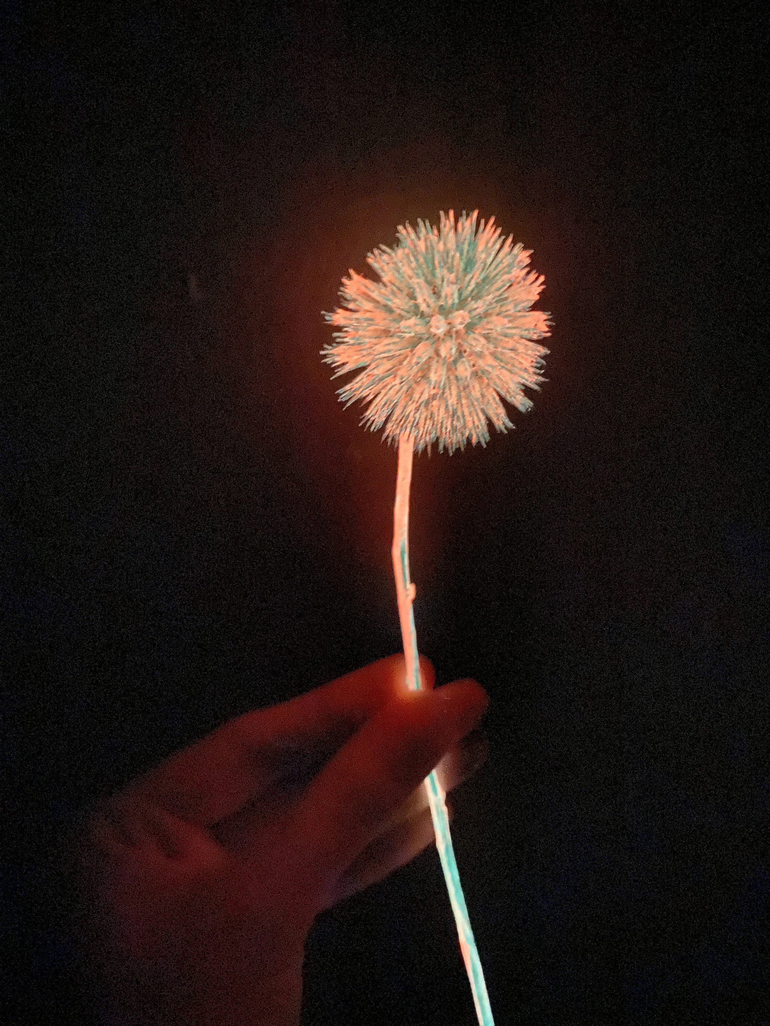 IMG_9935.JPG