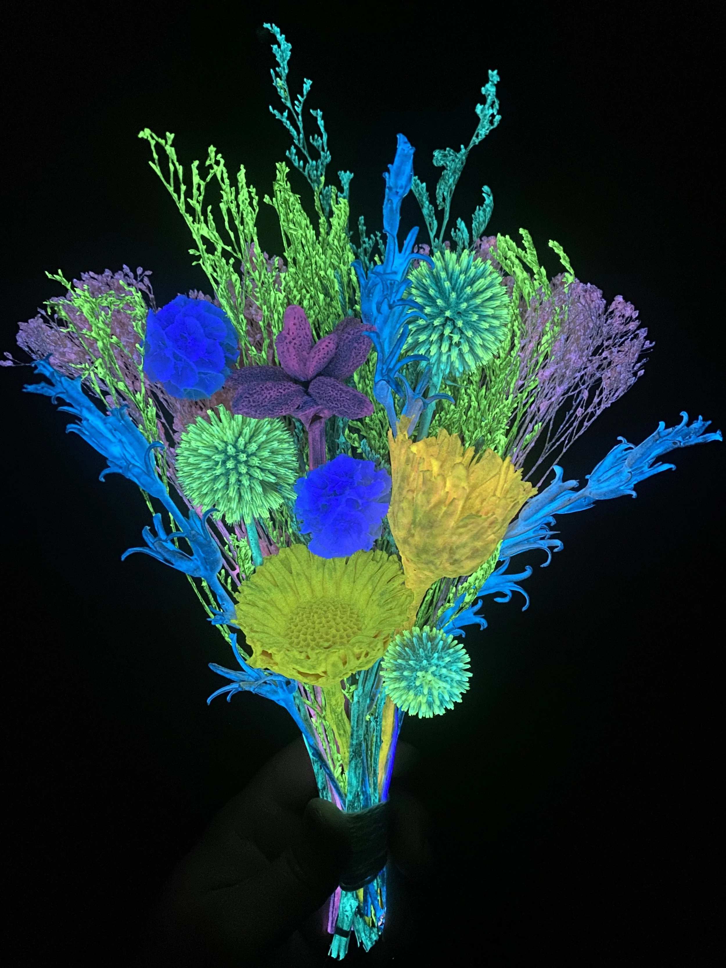 Photo Apr 28 2026, 12 08 41 PM.jpg