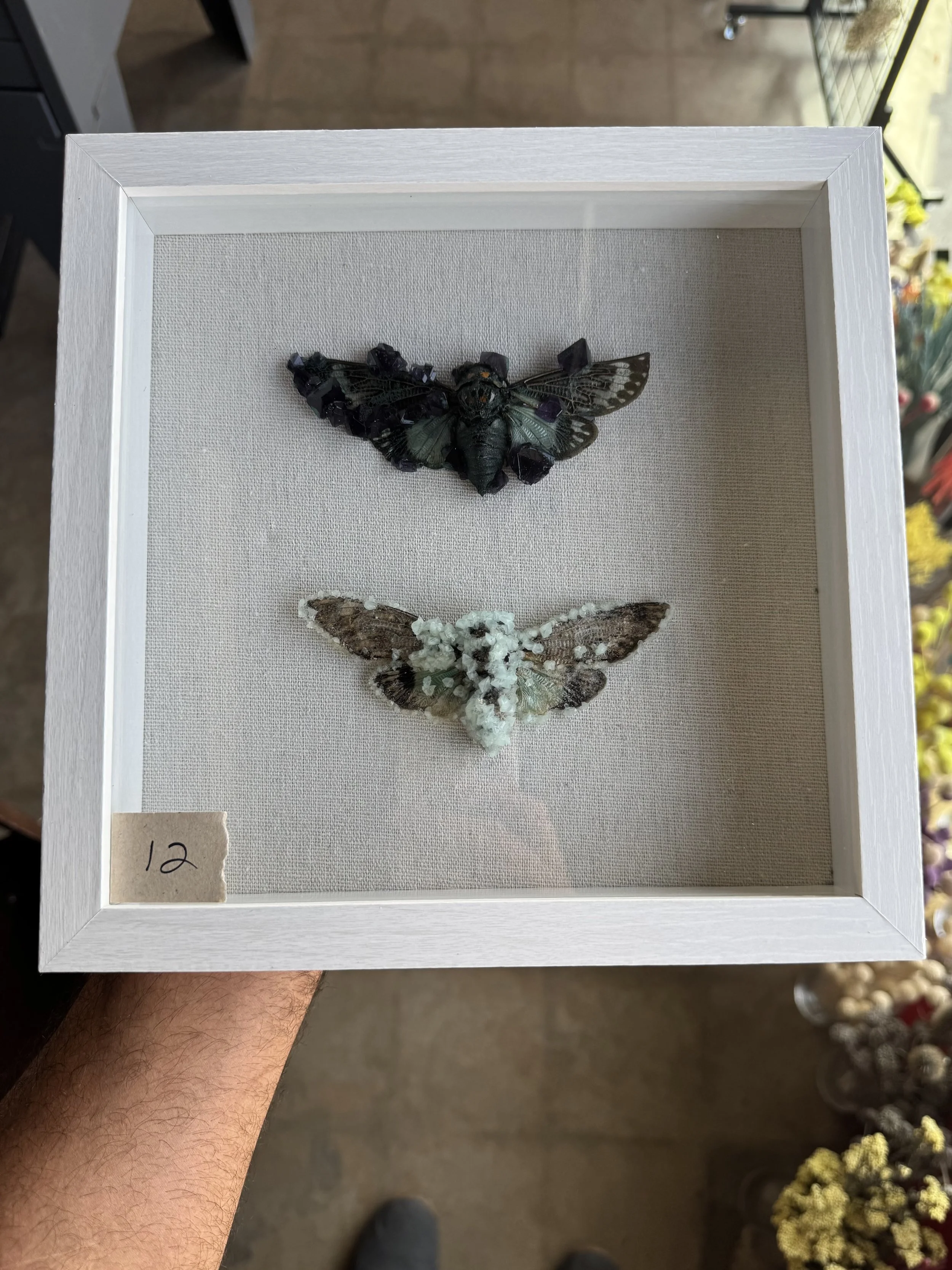 Photo Apr 29 2026, 10 08 22 AM.jpg