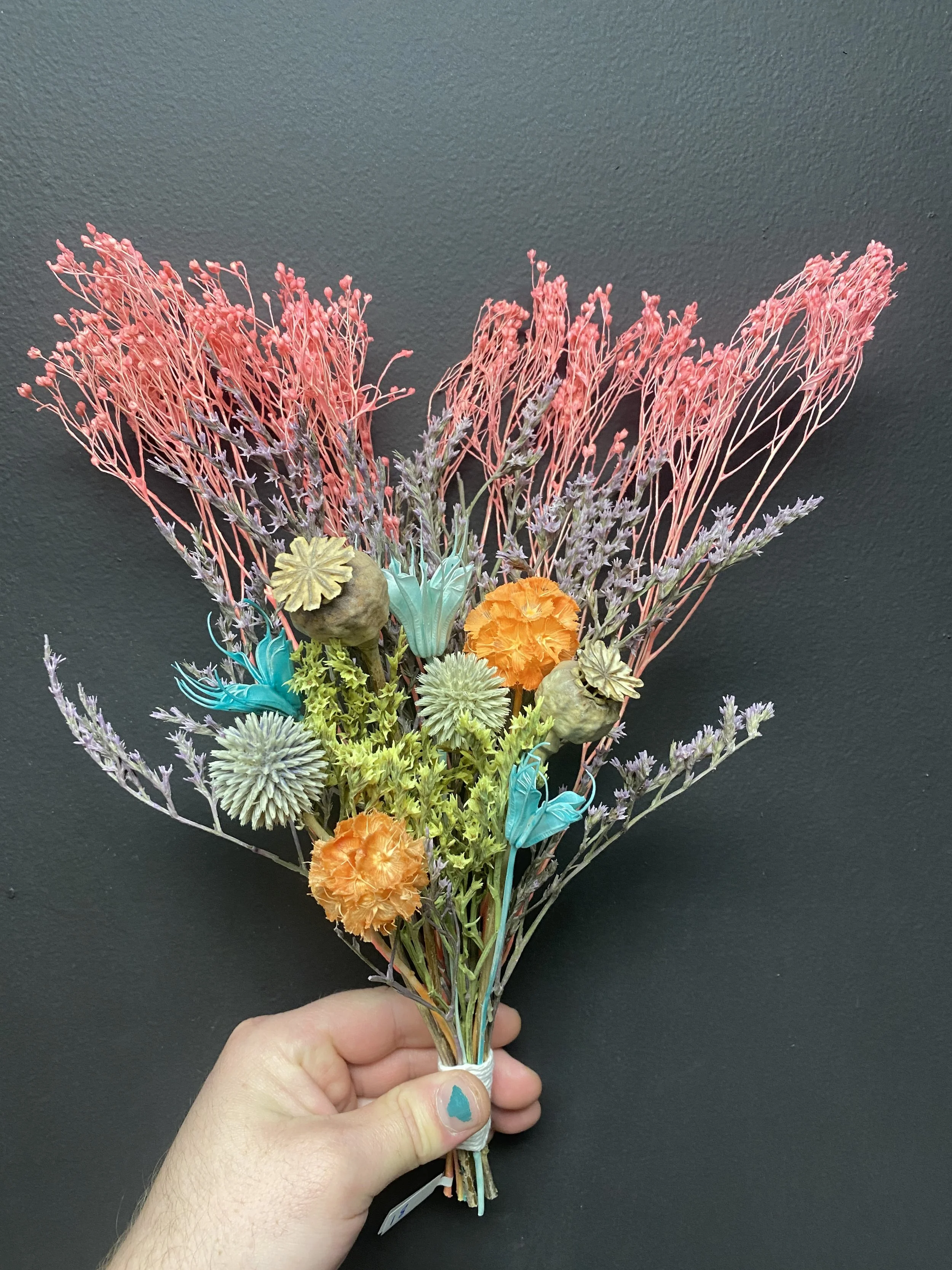 Photo Apr 28 2026, 12 04 19 PM.jpg