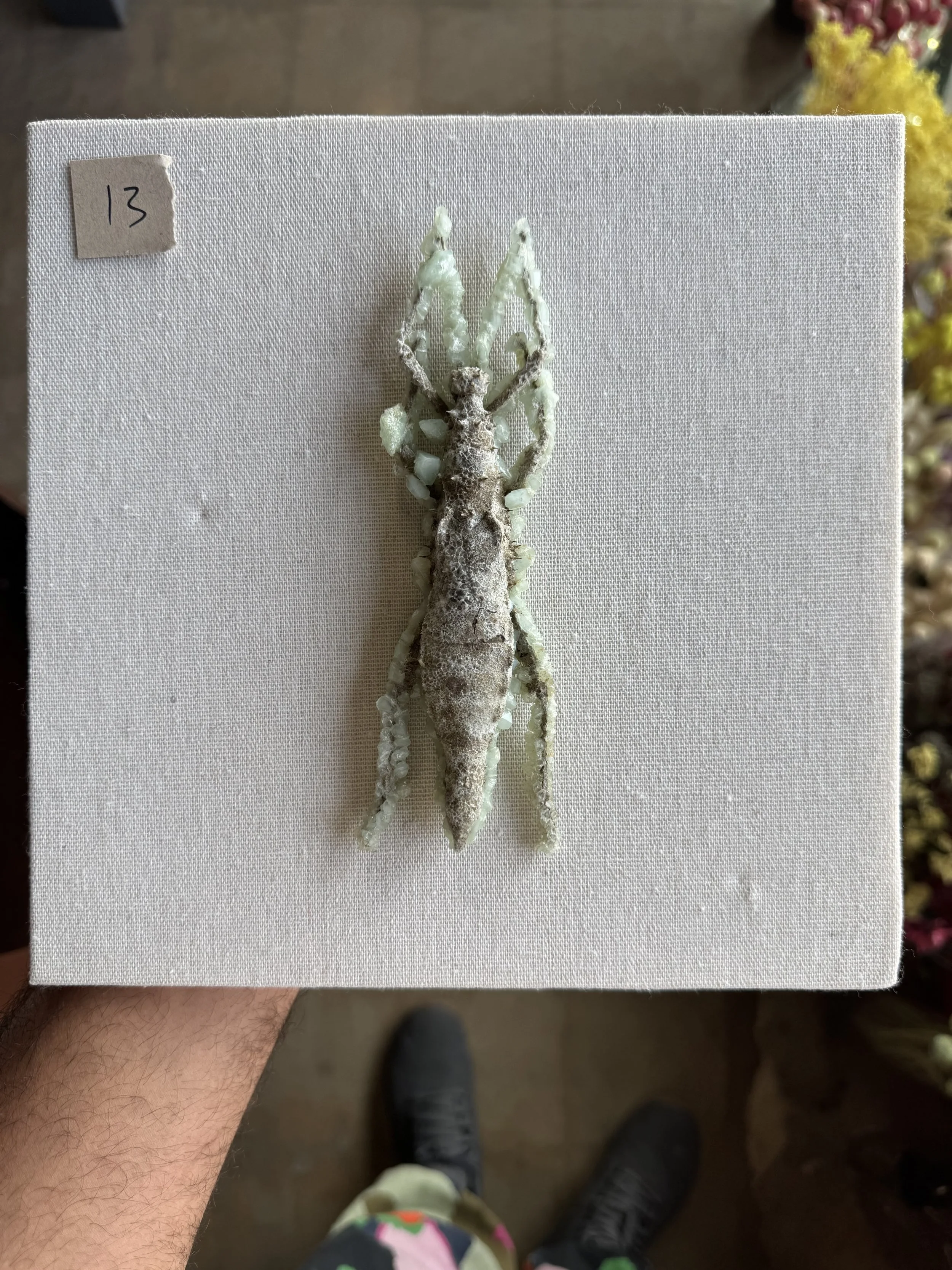 Photo Apr 29 2026, 10 01 12 AM.jpg