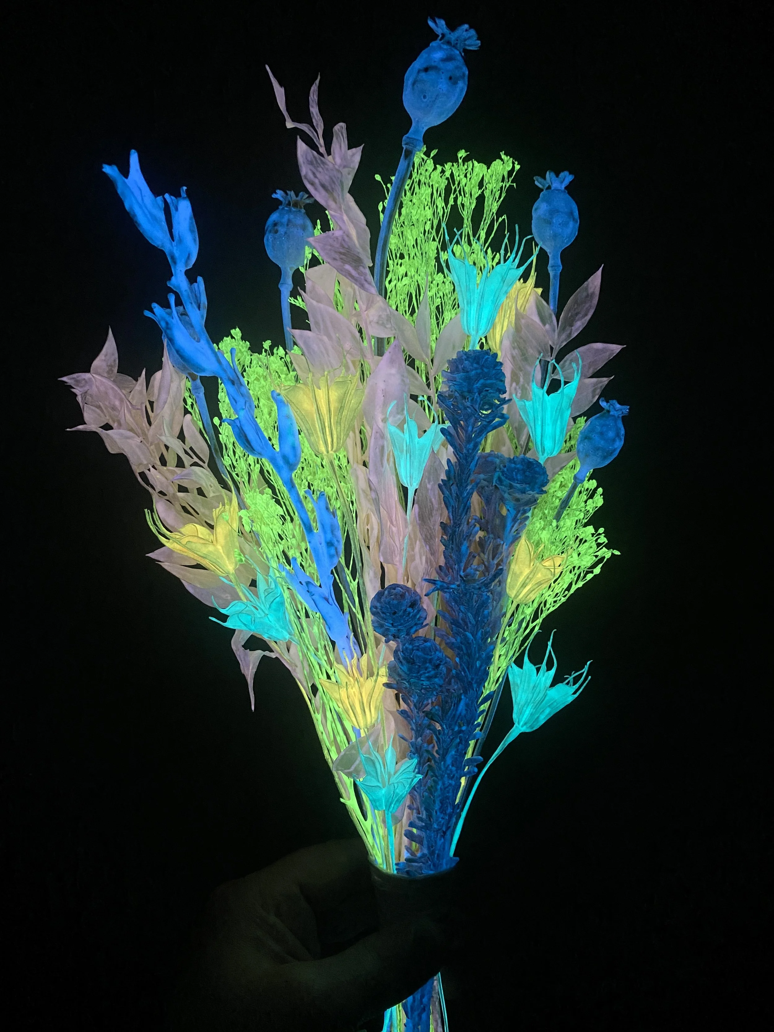 Photo Apr 28 2026, 1 11 35 PM.jpg