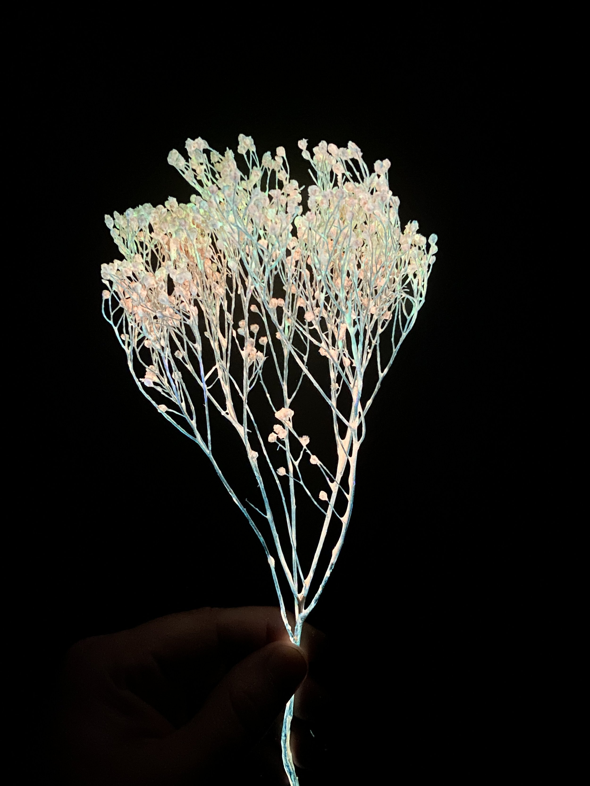 Photo Jan 26 2026, 11 01 17 AM.jpg