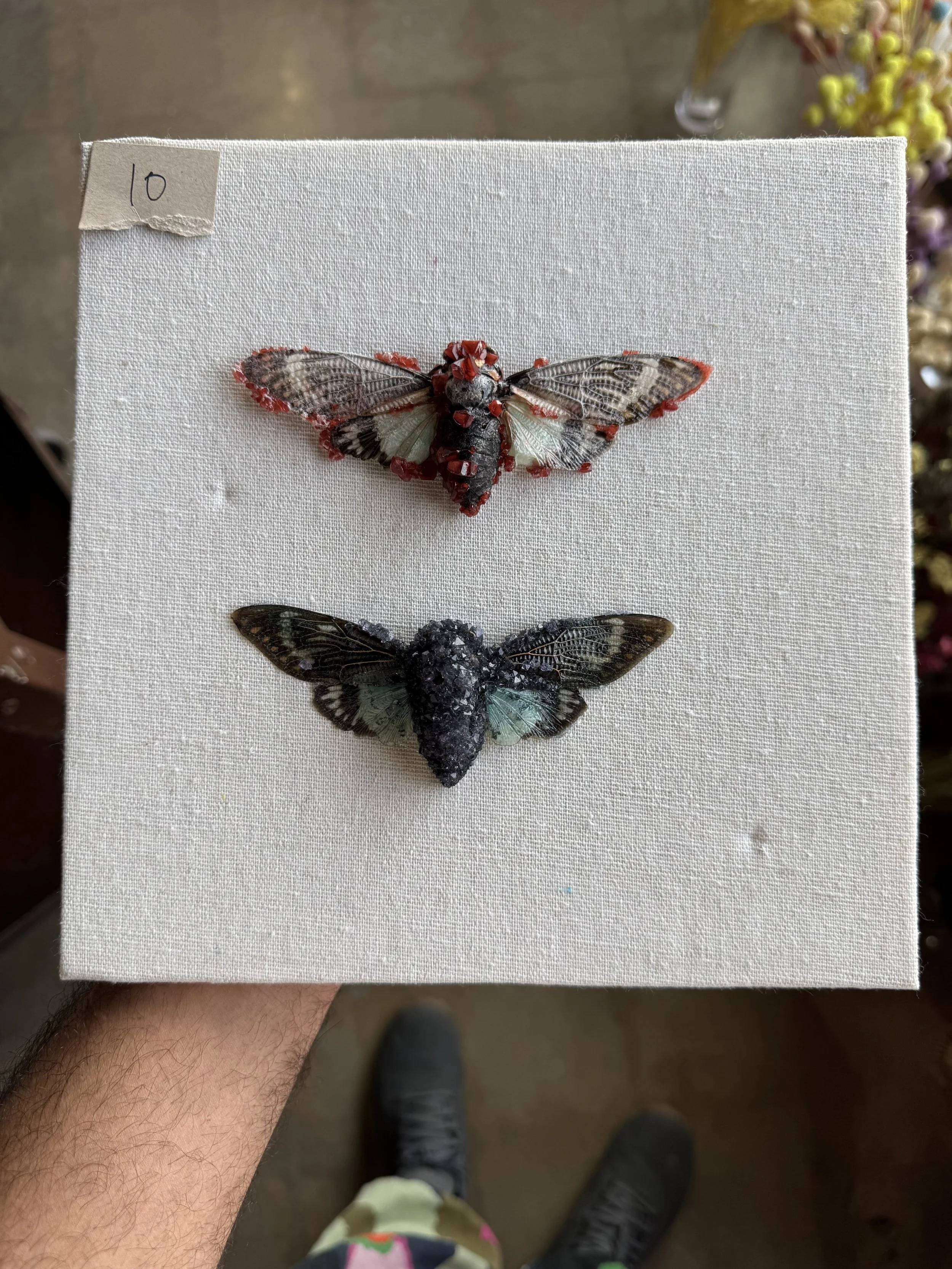 Photo Apr 29 2026, 9 55 30 AM.jpg