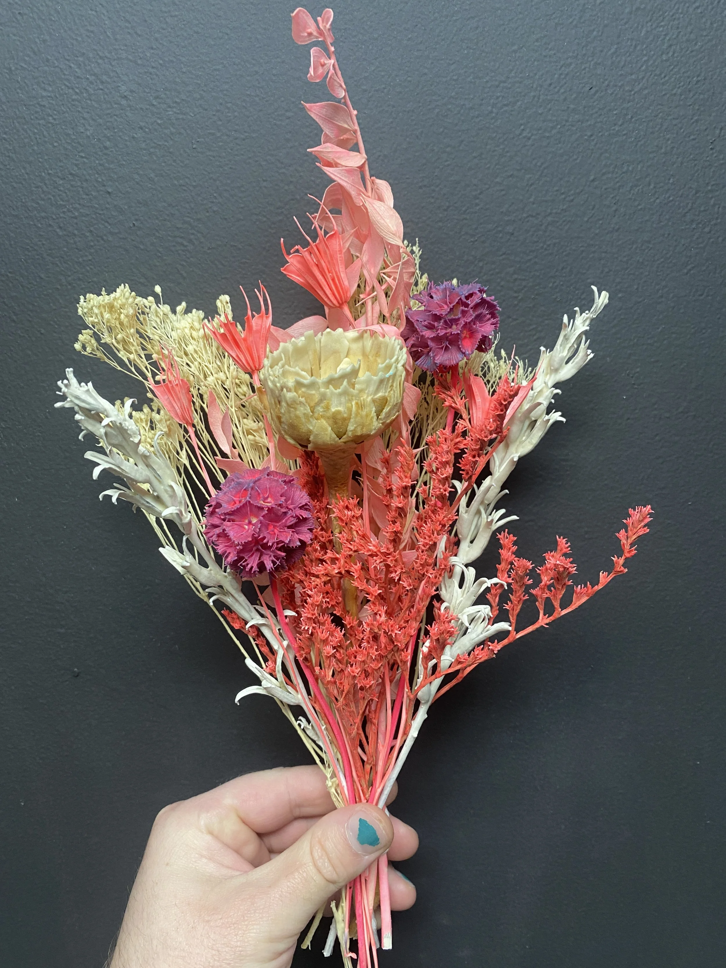 Photo Apr 28 2026, 12 22 12 PM.jpg