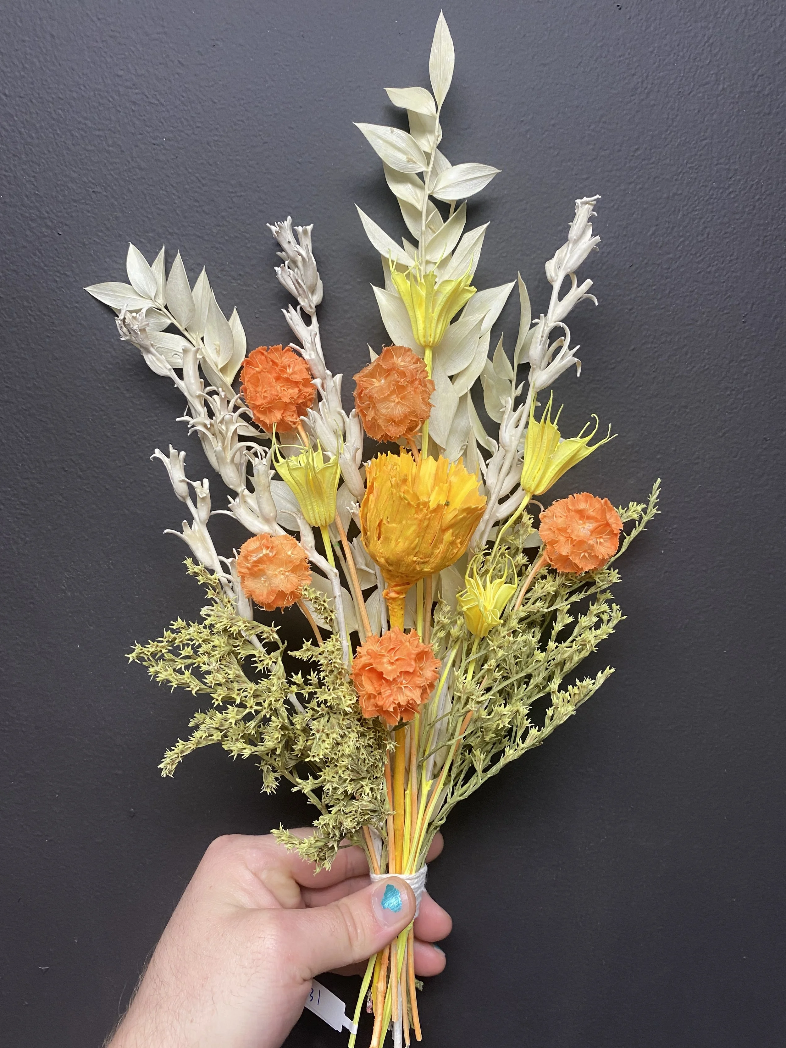 Photo Apr 28 2026, 12 24 15 PM.jpg