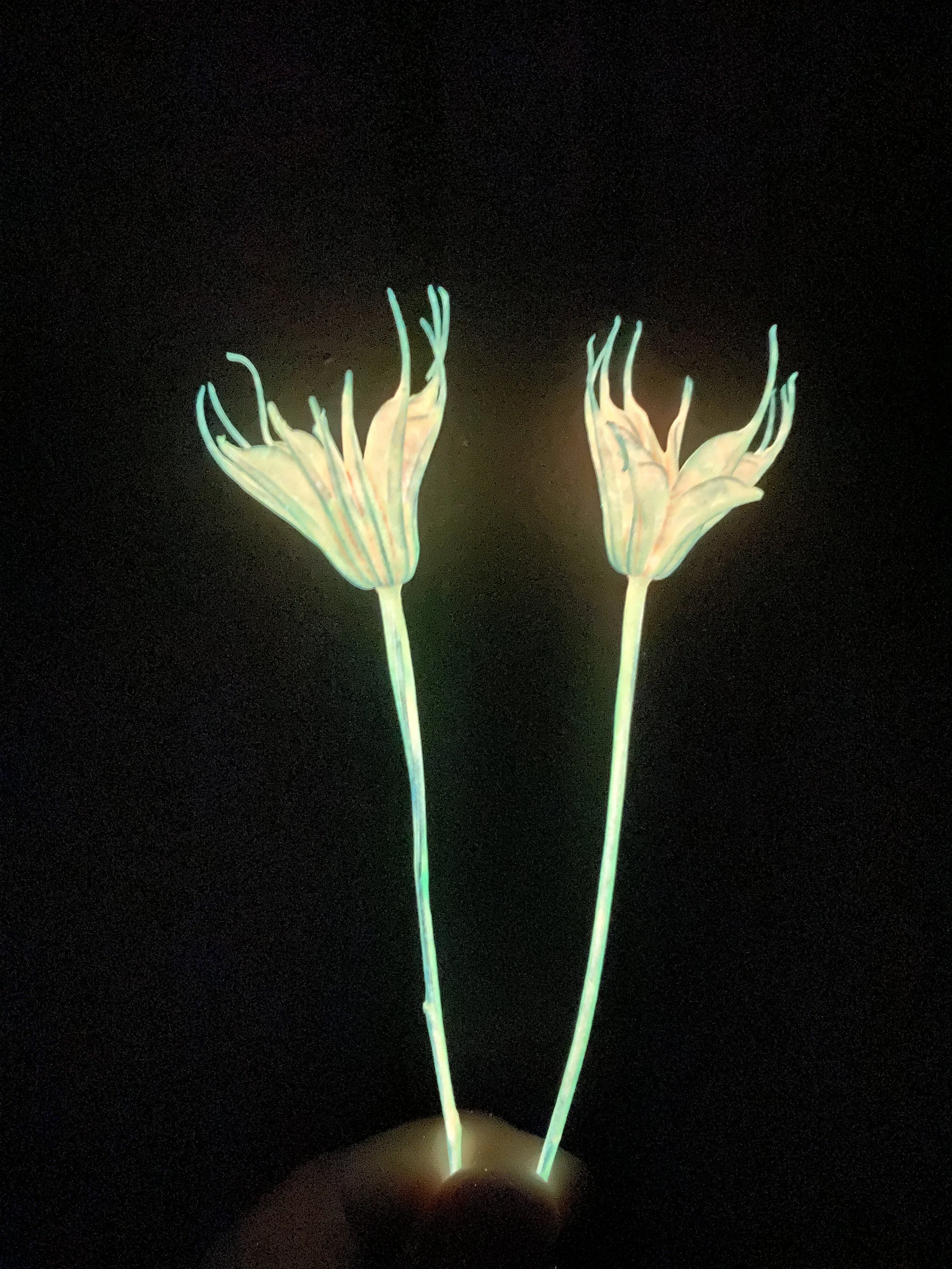 Photo Mar 12 2026, 12 25 36 PM.jpg