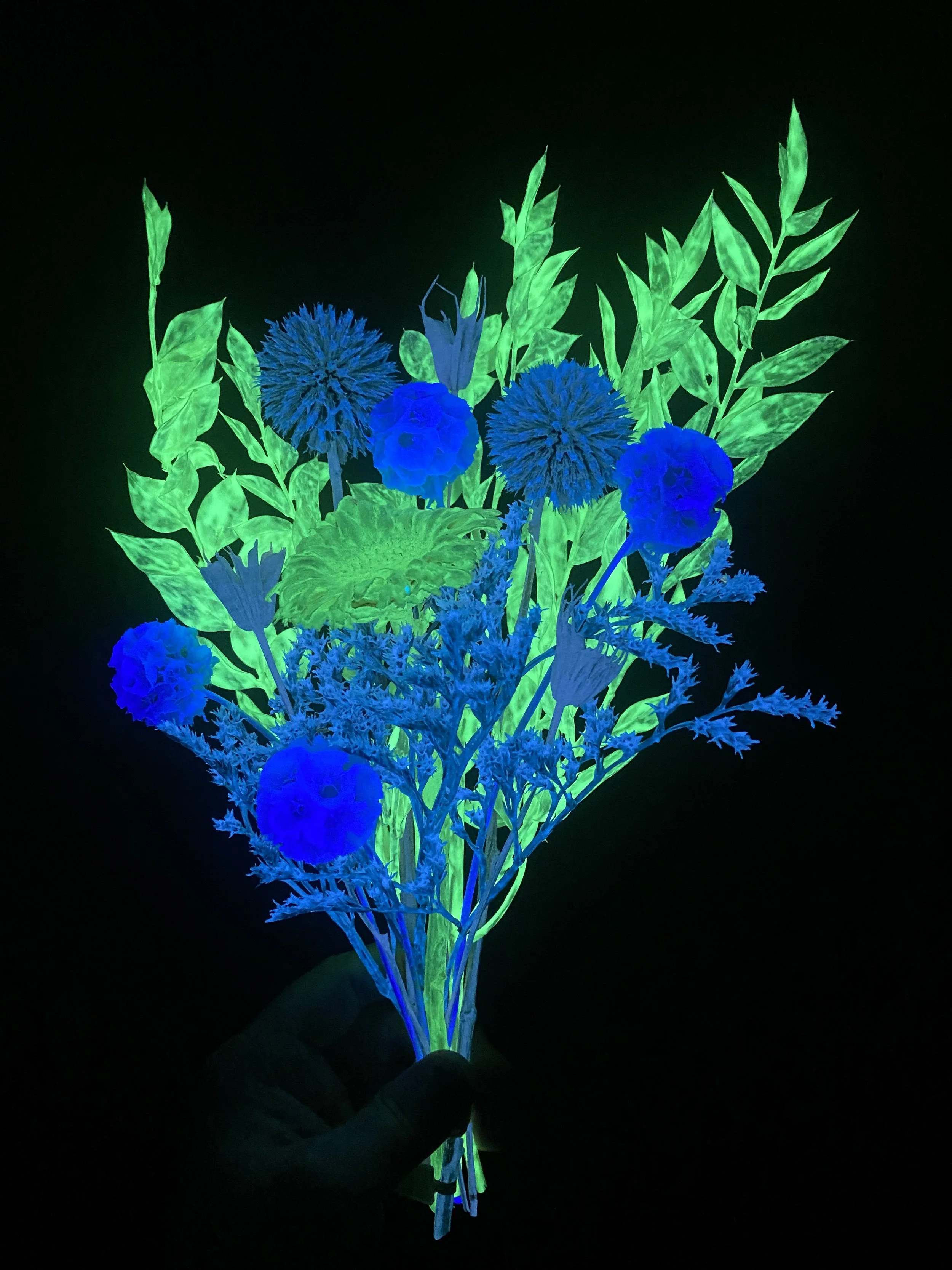 Photo Apr 28 2026, 12 28 26 PM.jpg