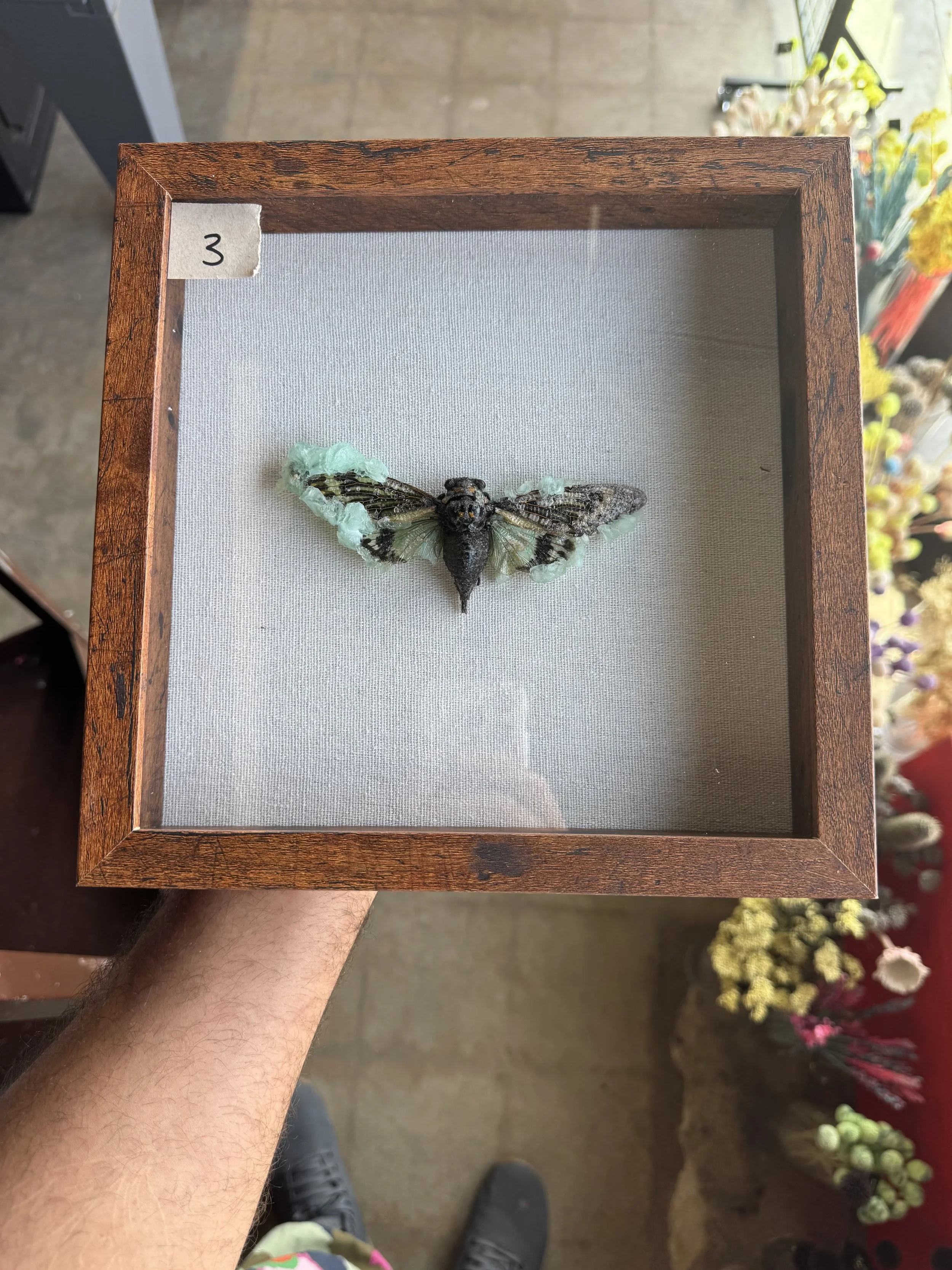 Photo Apr 29 2026, 10 09 31 AM.jpg