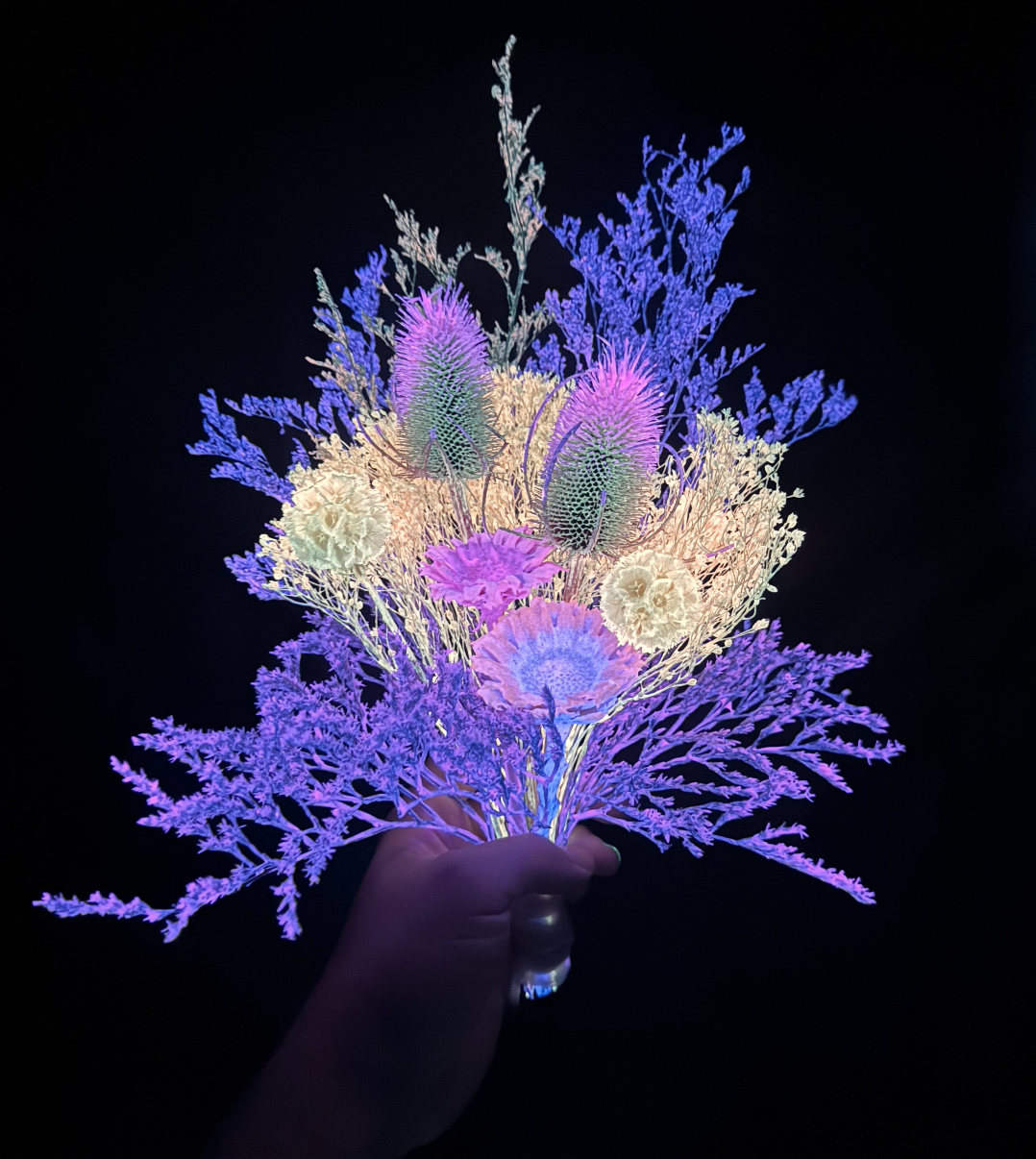 Screenshot 2026-02-01 at 10.52.43 AM.png