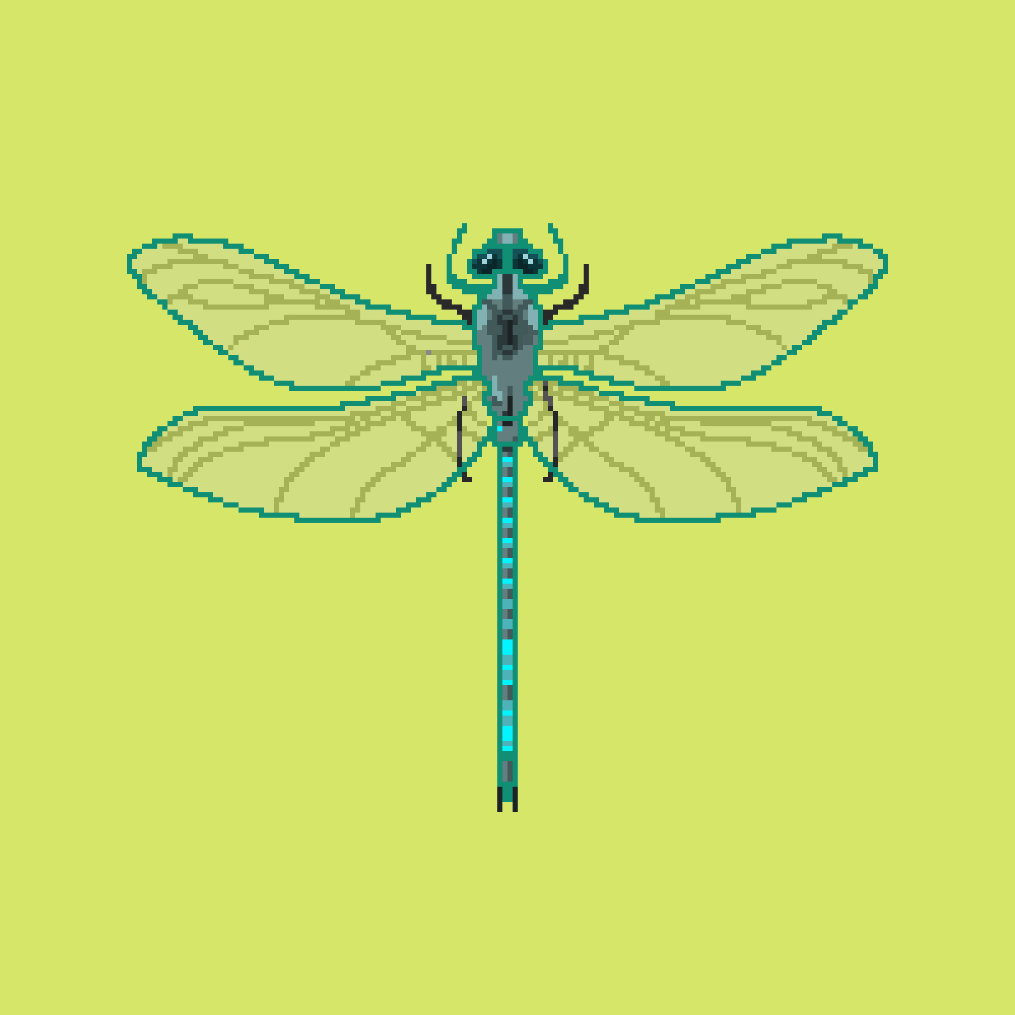 IMG_0283.png