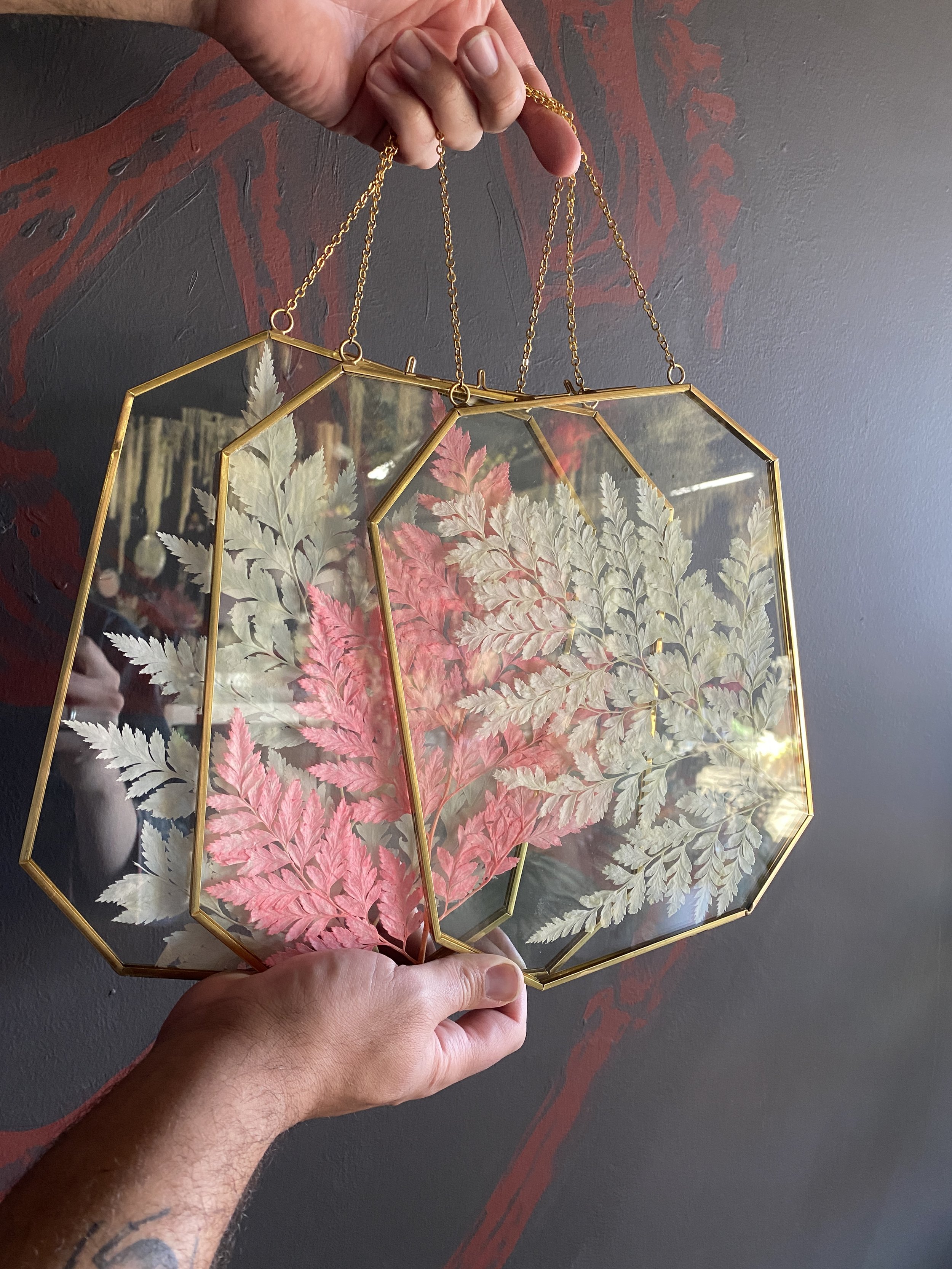 Photo Feb 26 2026, 11 34 19 AM.jpg