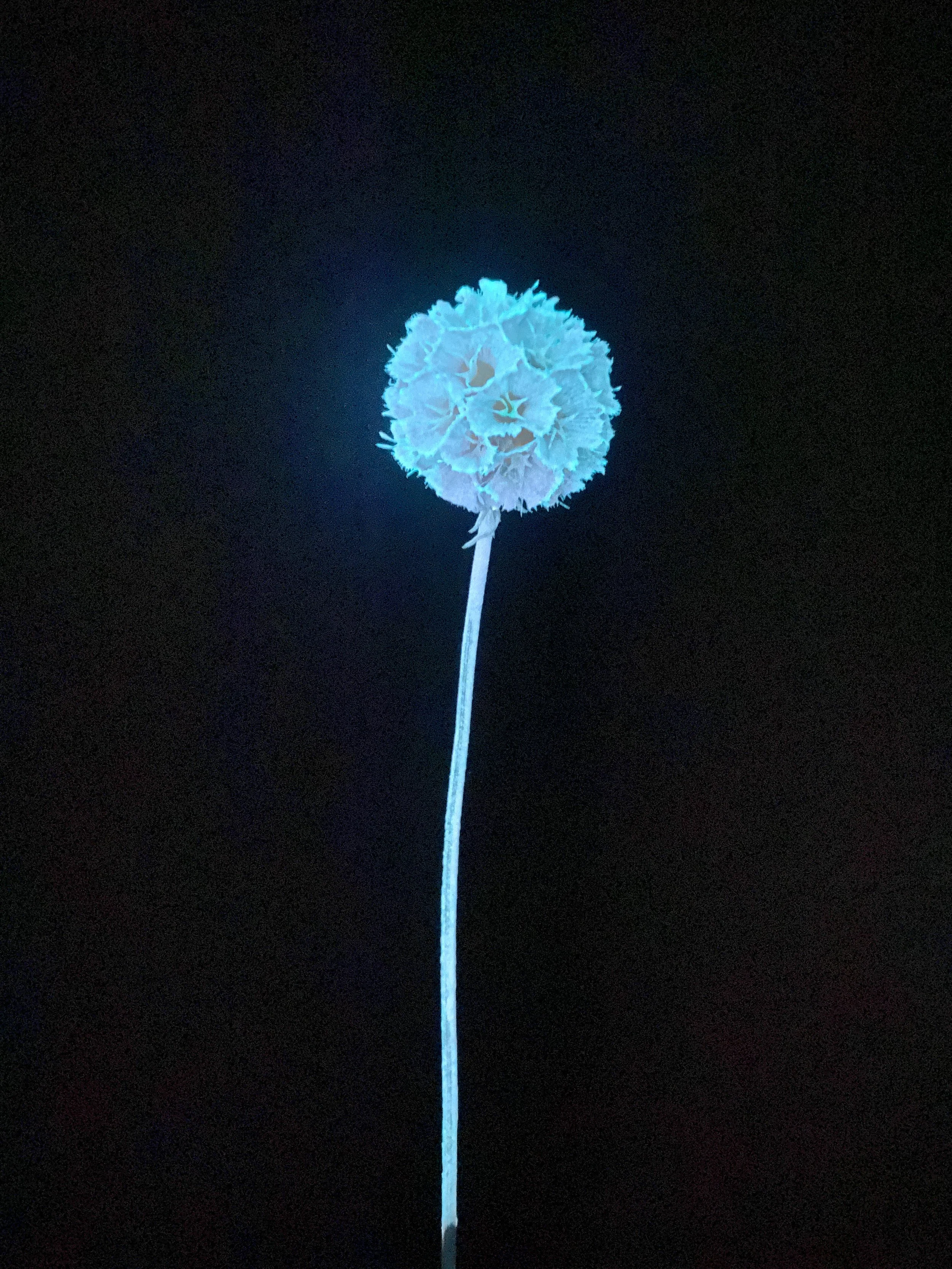 Photo Jan 15 2026, 10 41 18 AM.jpg