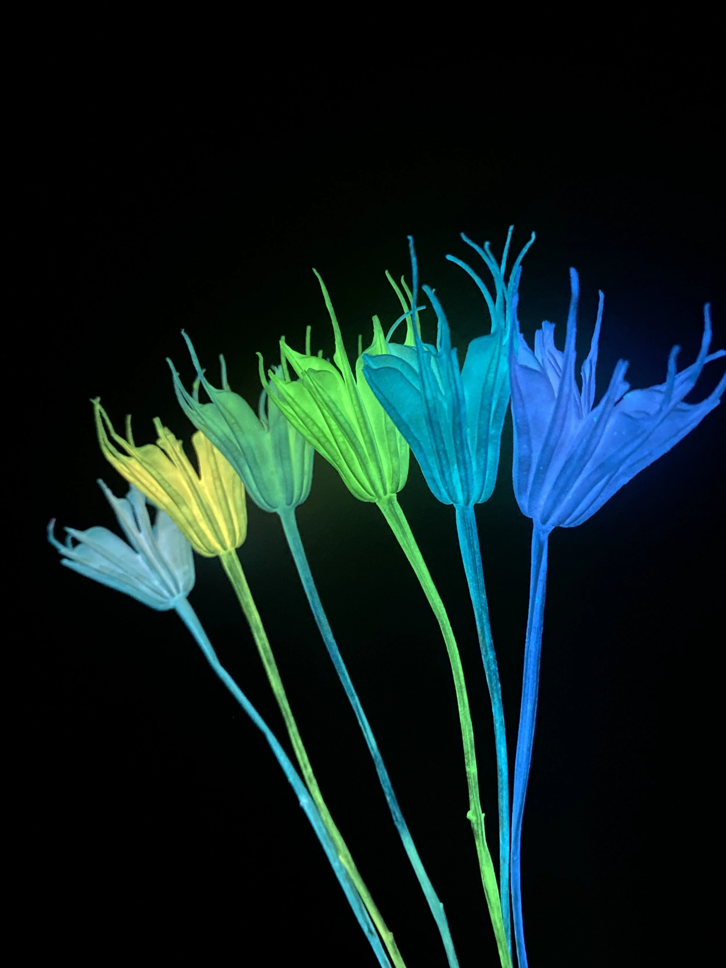 Photo Feb 20 2026, 12 34 45 PM.jpg