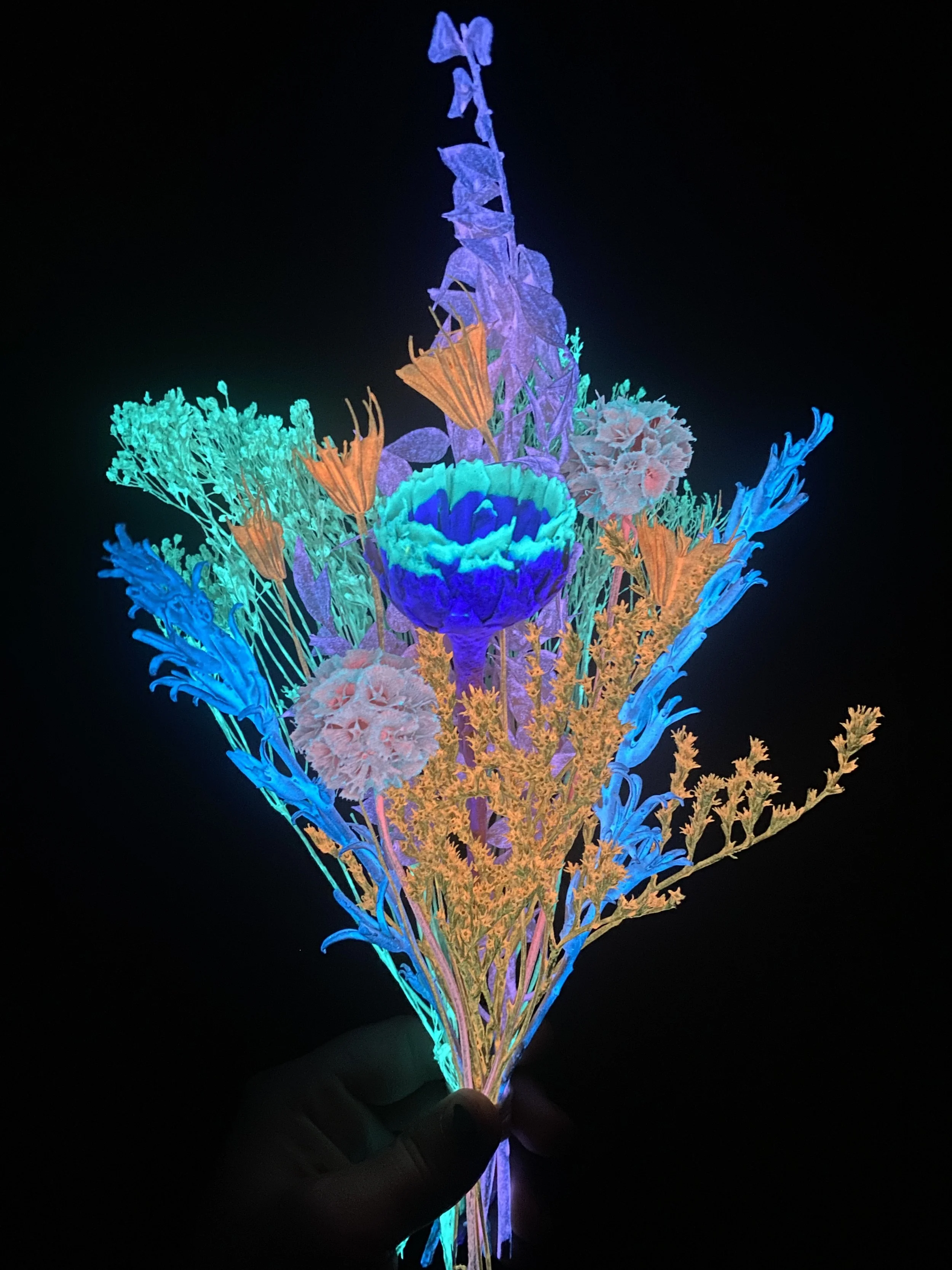 Photo Apr 28 2026, 12 22 56 PM.jpg