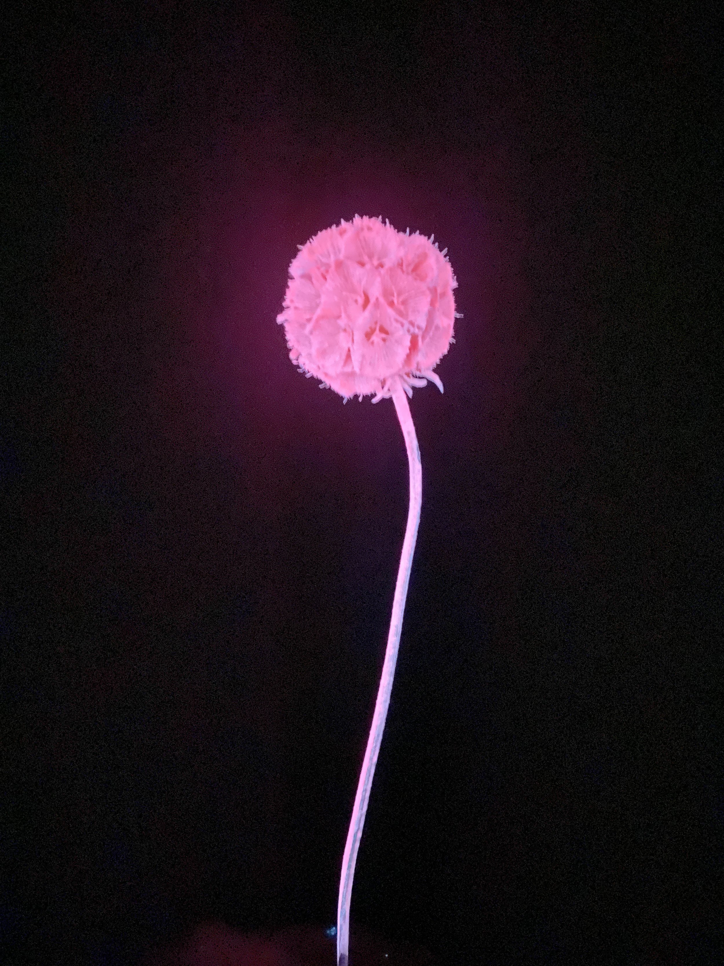 Photo Jan 14 2026, 4 54 27 PM.jpg