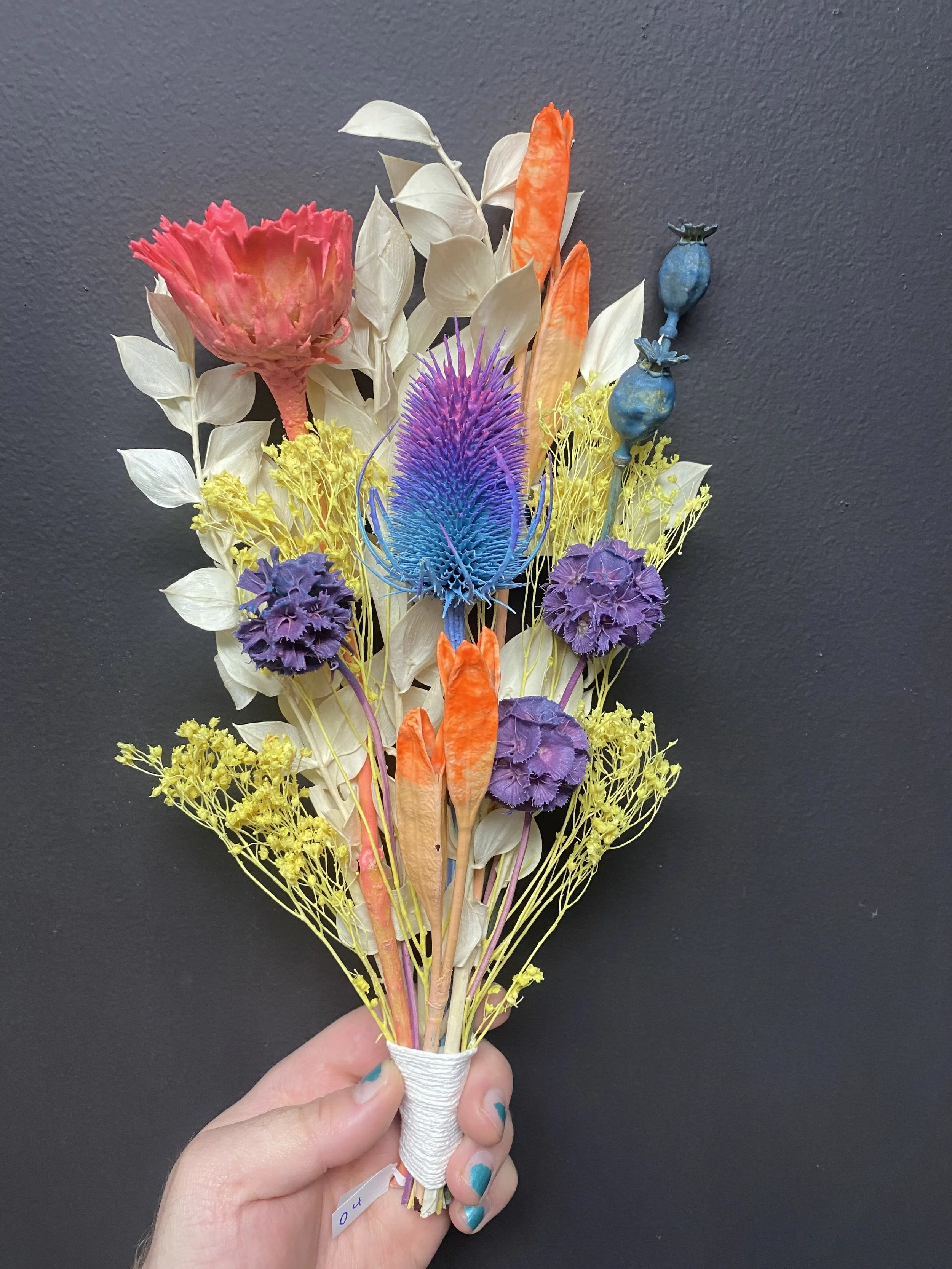 Photo Apr 28 2026, 10 41 08 AM.jpg