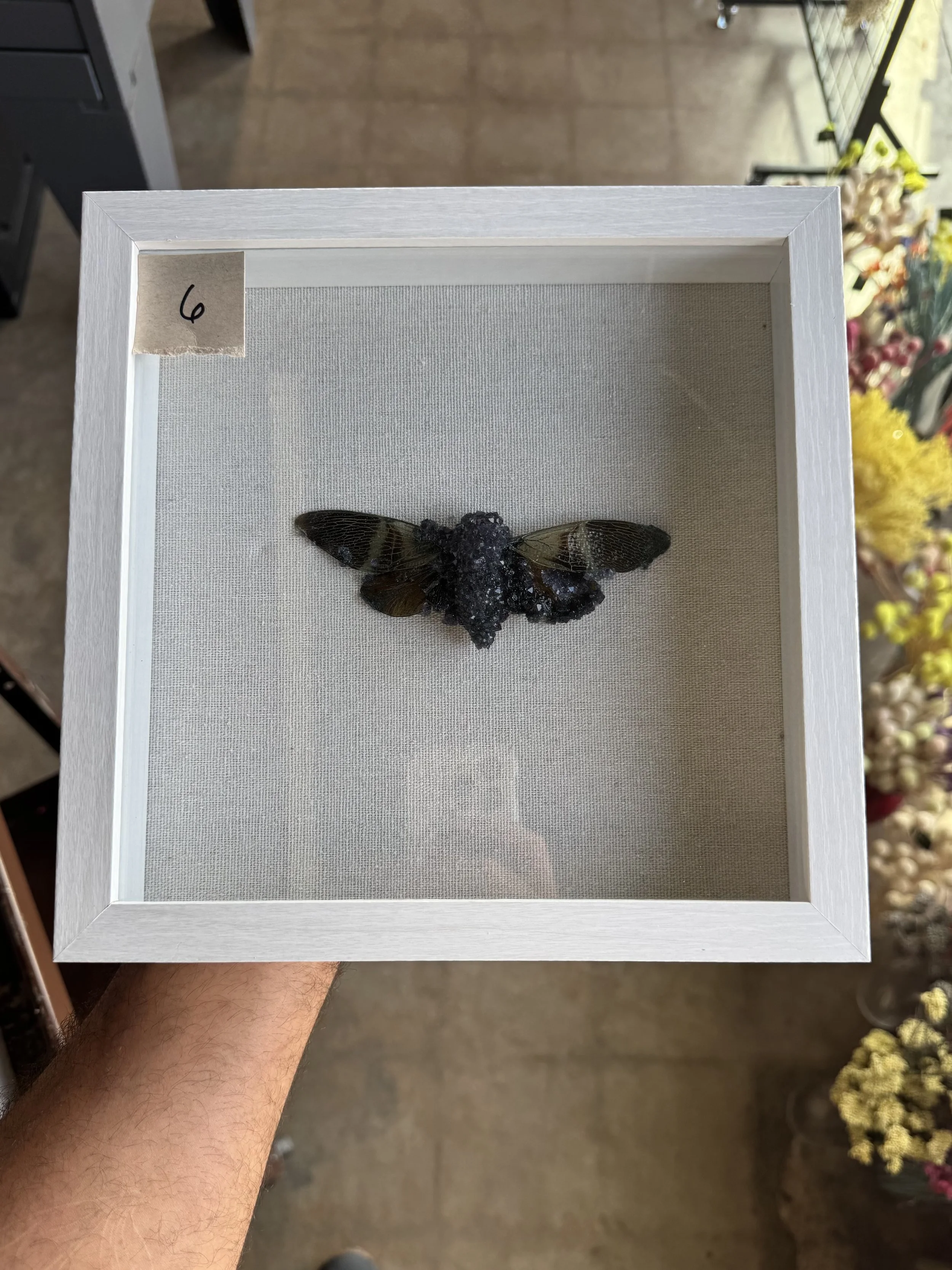 Photo Apr 29 2026, 10 06 57 AM.jpg