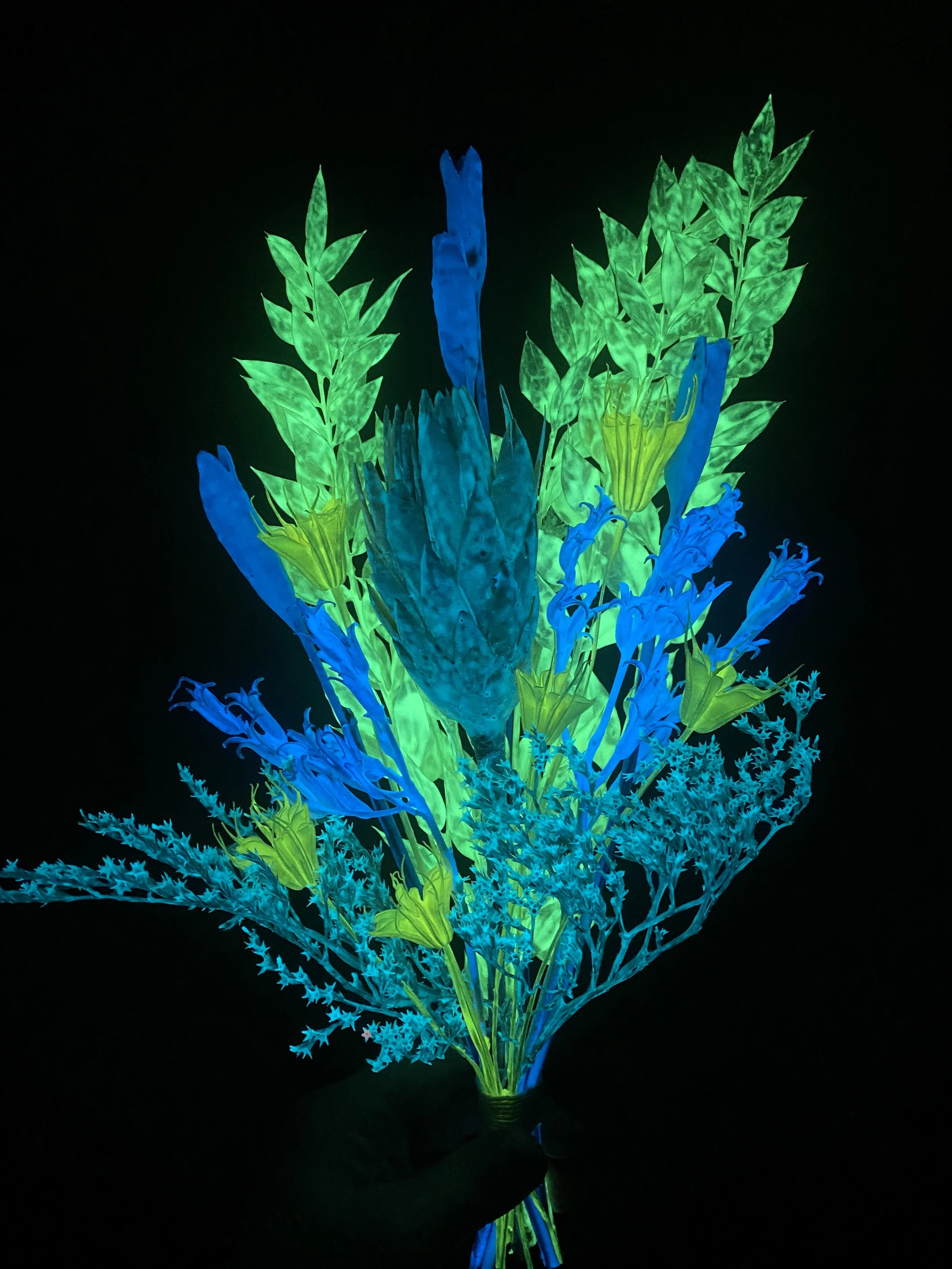 Photo Apr 28 2026, 1 21 48 PM.jpg