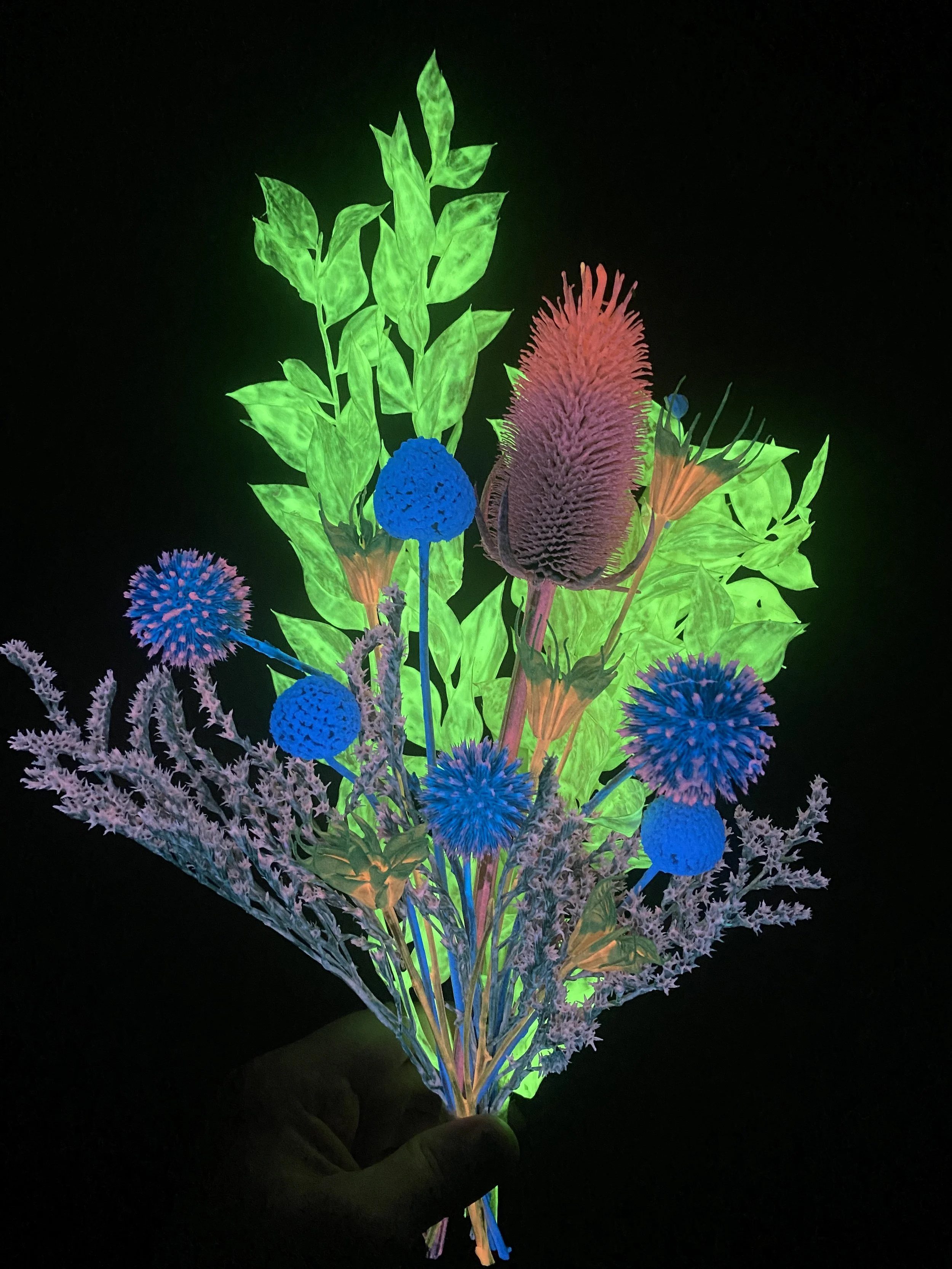 Photo Apr 28 2026, 12 14 43 PM.jpg