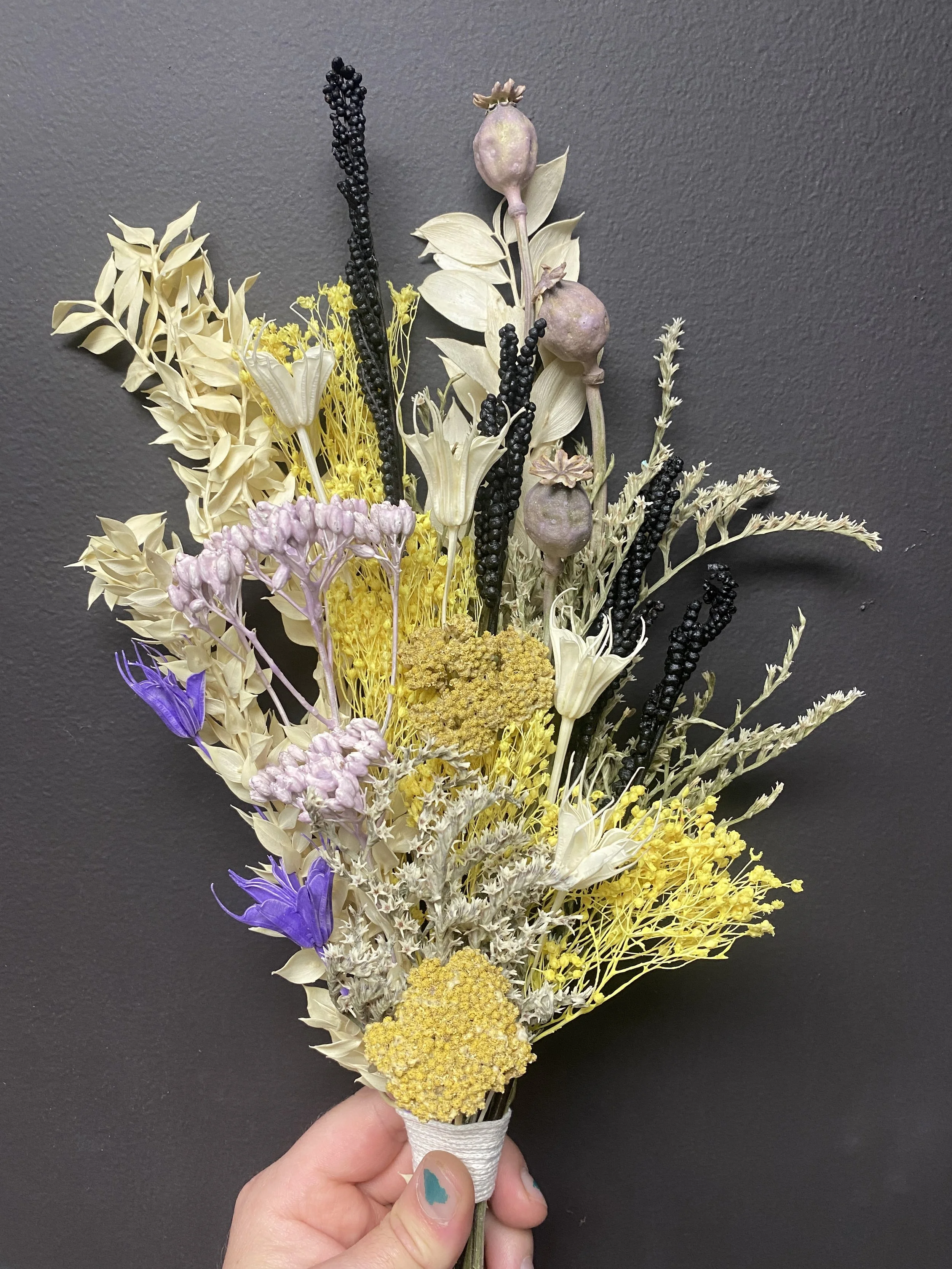 Photo Apr 28 2026, 1 20 07 PM.jpg