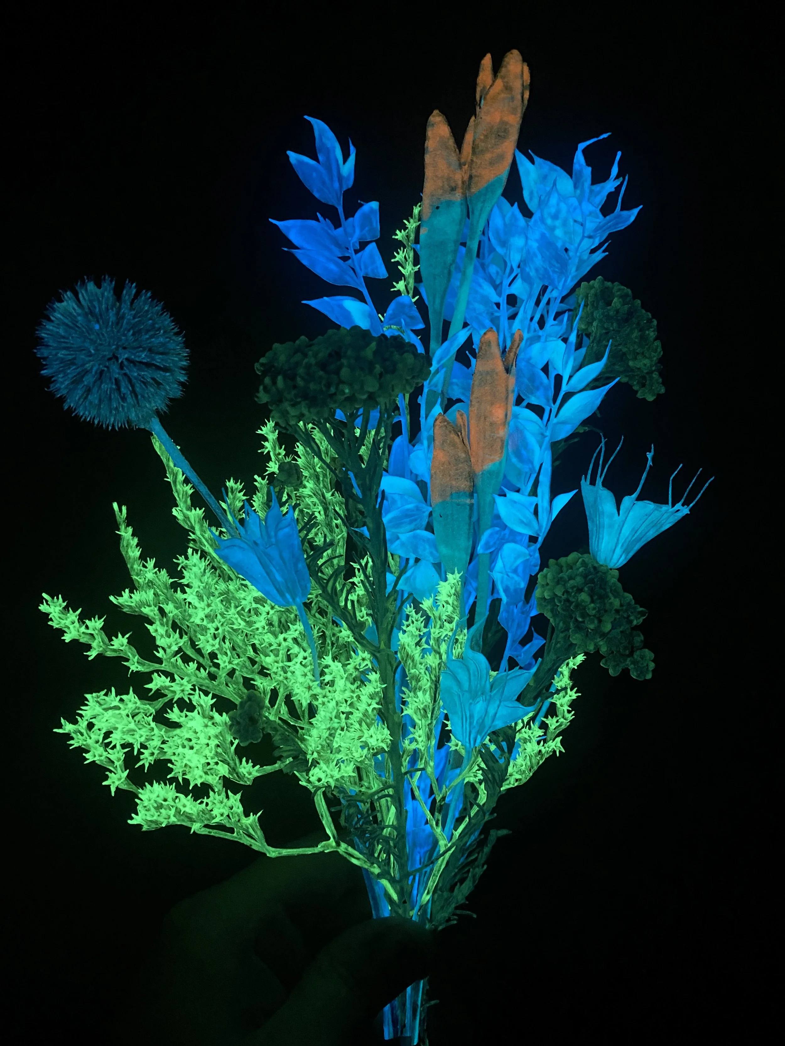 Photo Apr 28 2026, 10 48 00 AM.jpg