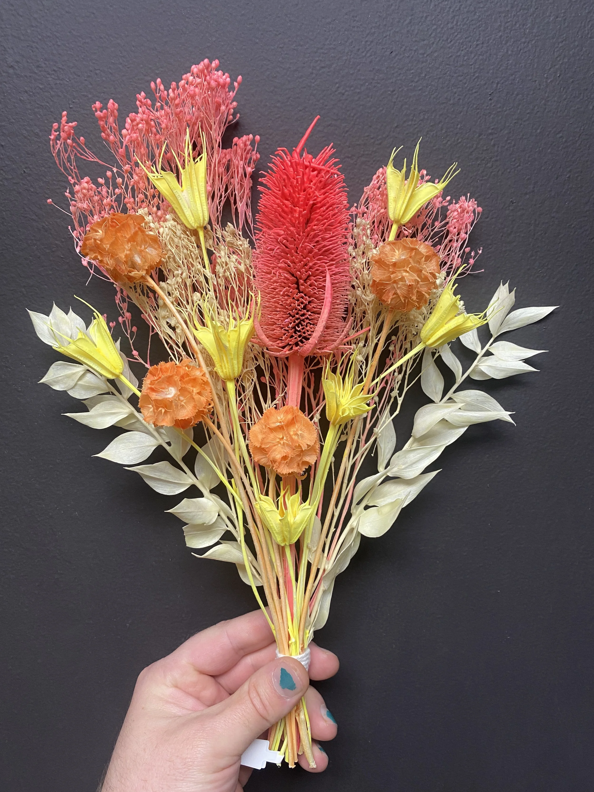 Photo Apr 28 2026, 12 19 56 PM.jpg