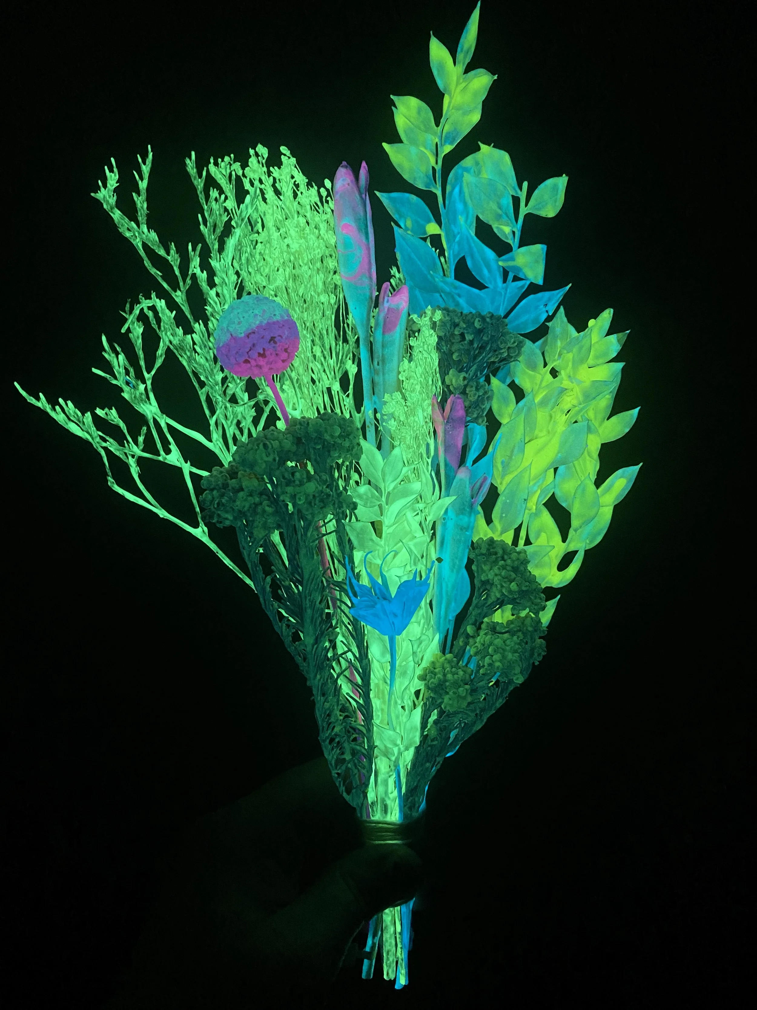 Photo Apr 28 2026, 10 50 35 AM.jpg