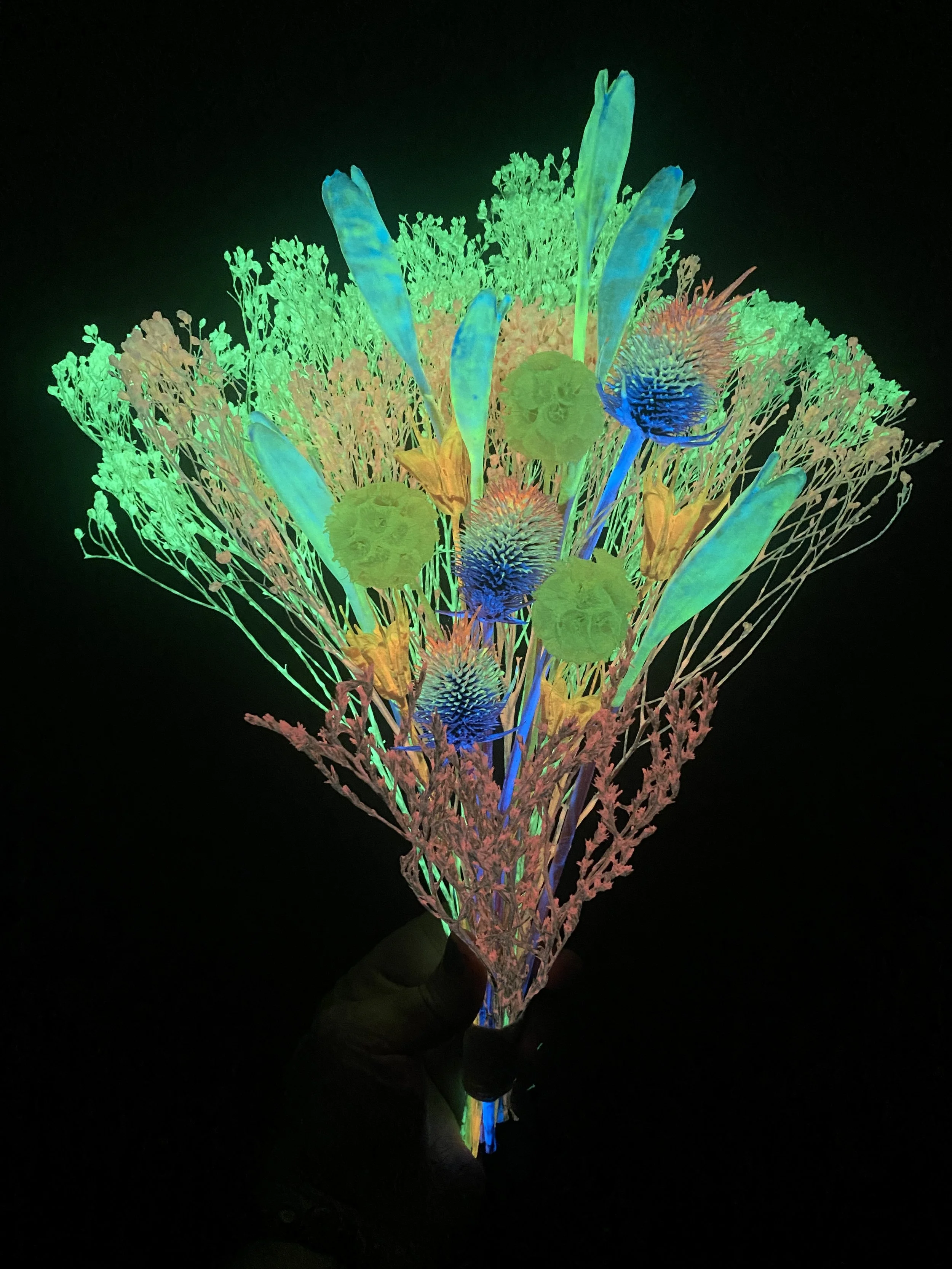 Photo Apr 17 2026, 3 53 52 PM.jpg