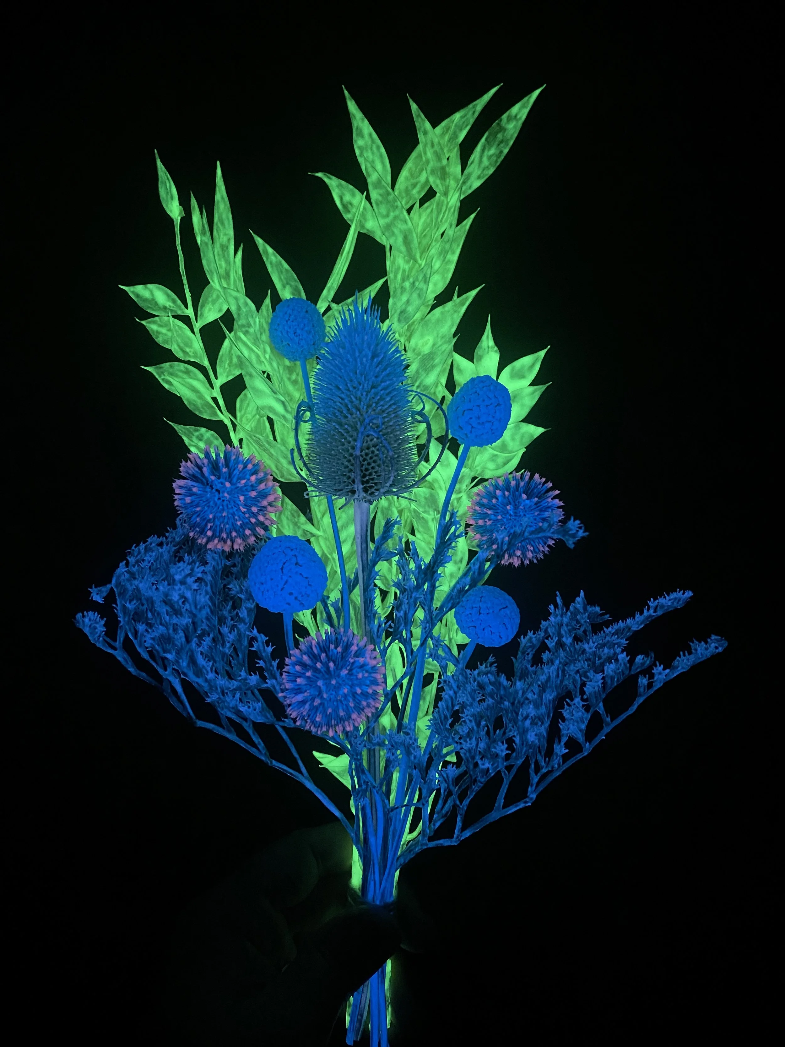 Photo Apr 28 2026, 12 24 01 PM.jpg