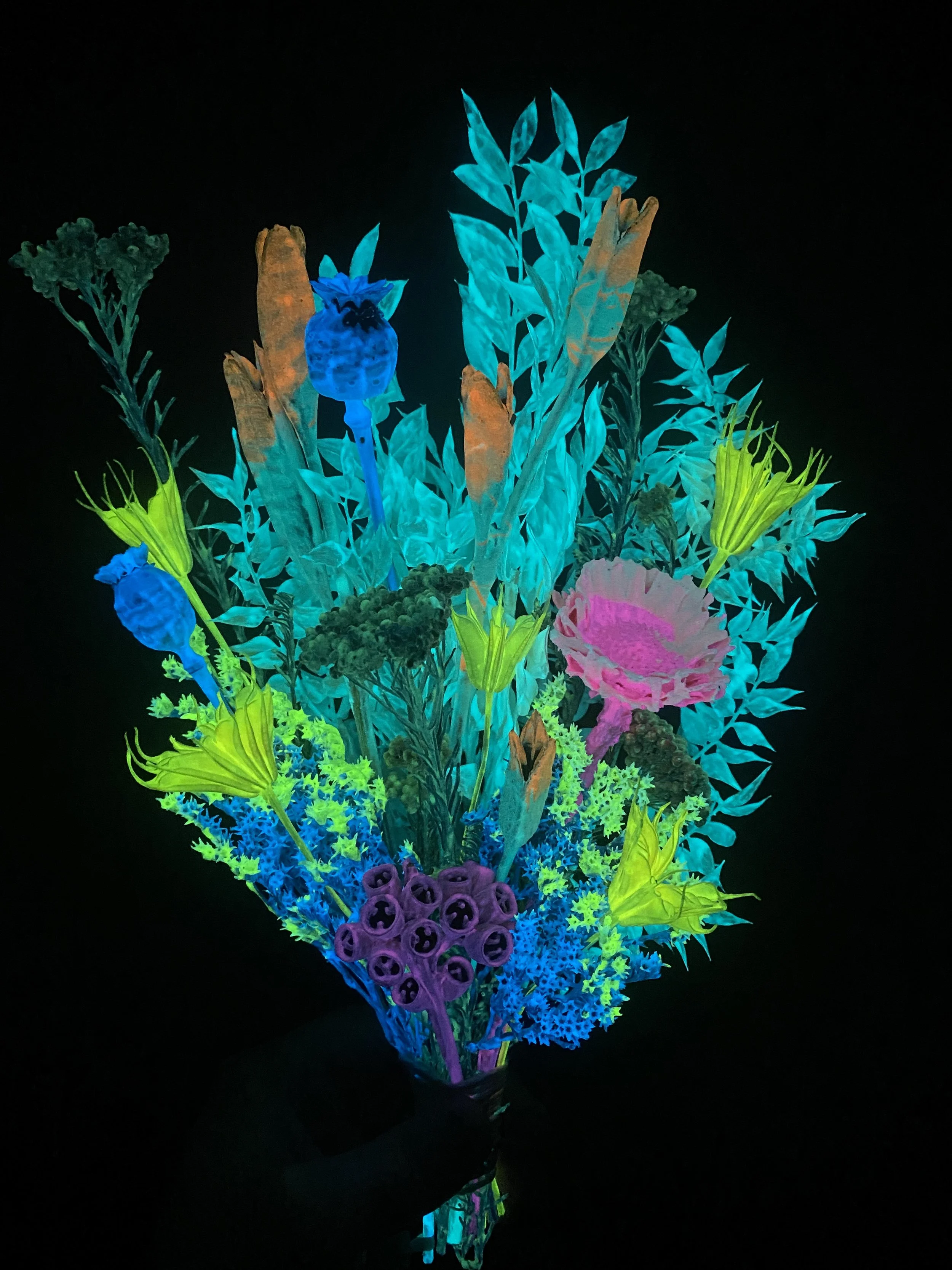 Photo Apr 28 2026, 1 15 46 PM.jpg