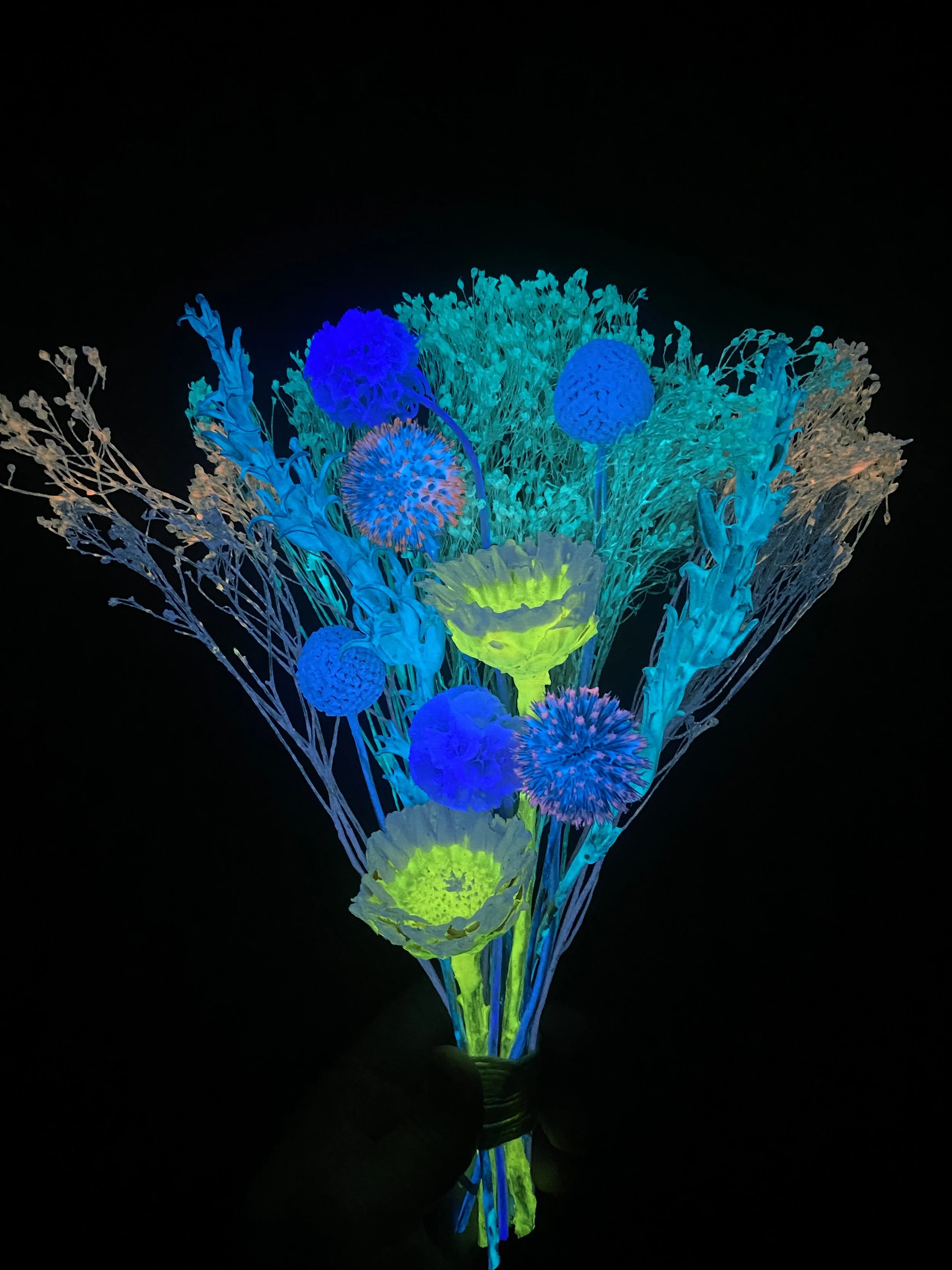 Photo Apr 28 2026, 12 10 58 PM.jpg