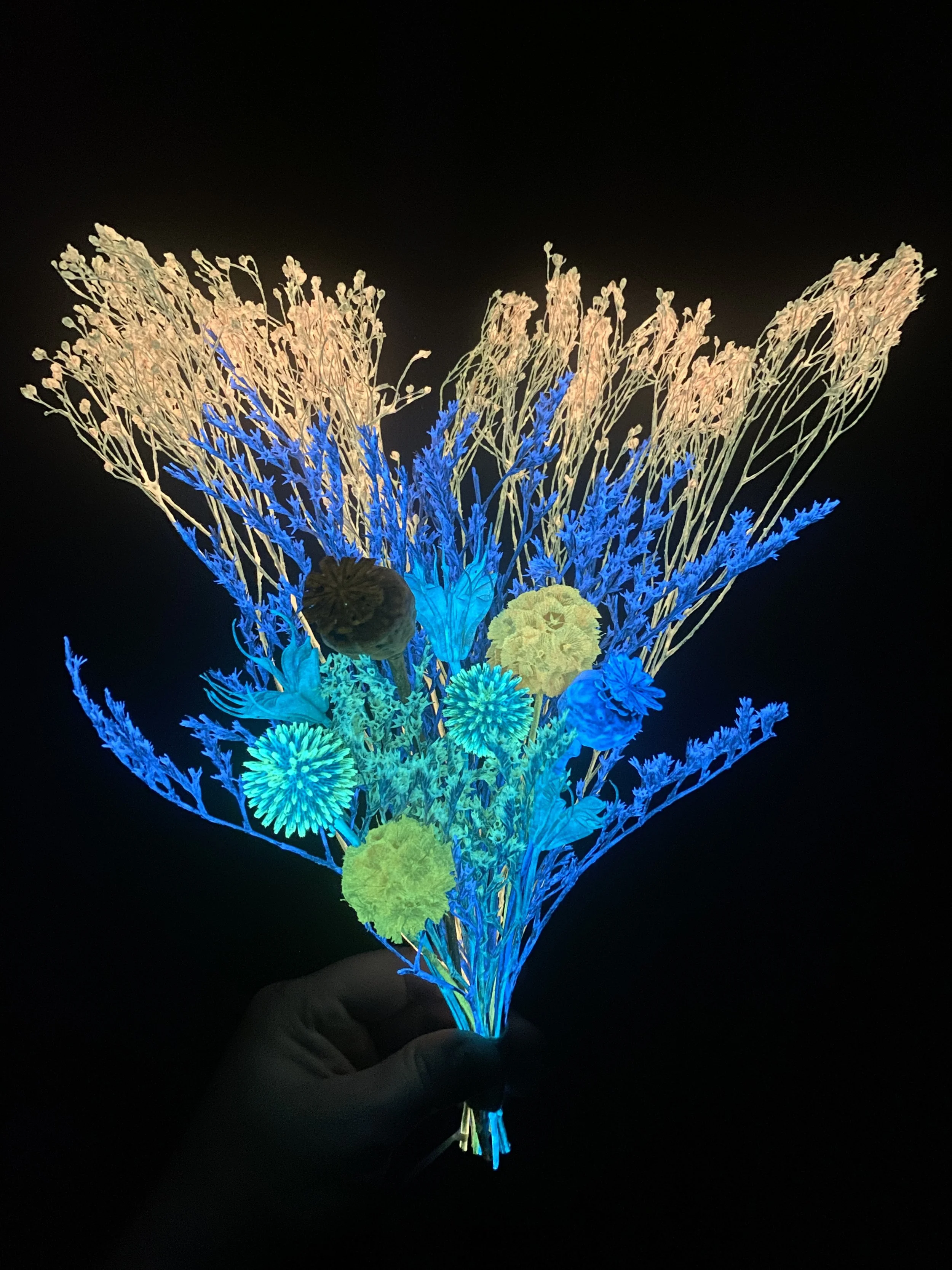 Photo Apr 28 2026, 12 05 00 PM.jpg