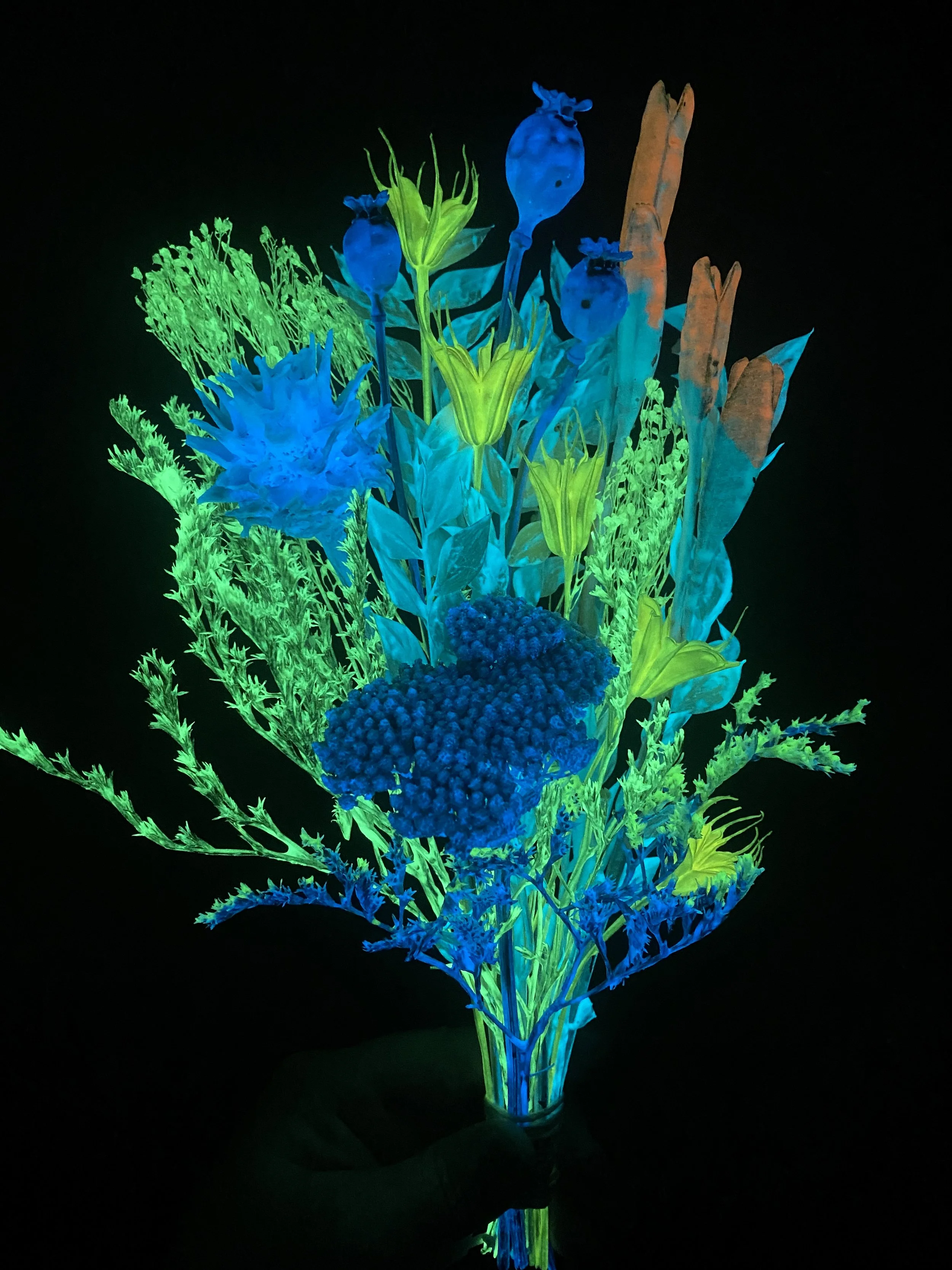 Photo Apr 28 2026, 10 40 40 AM.jpg