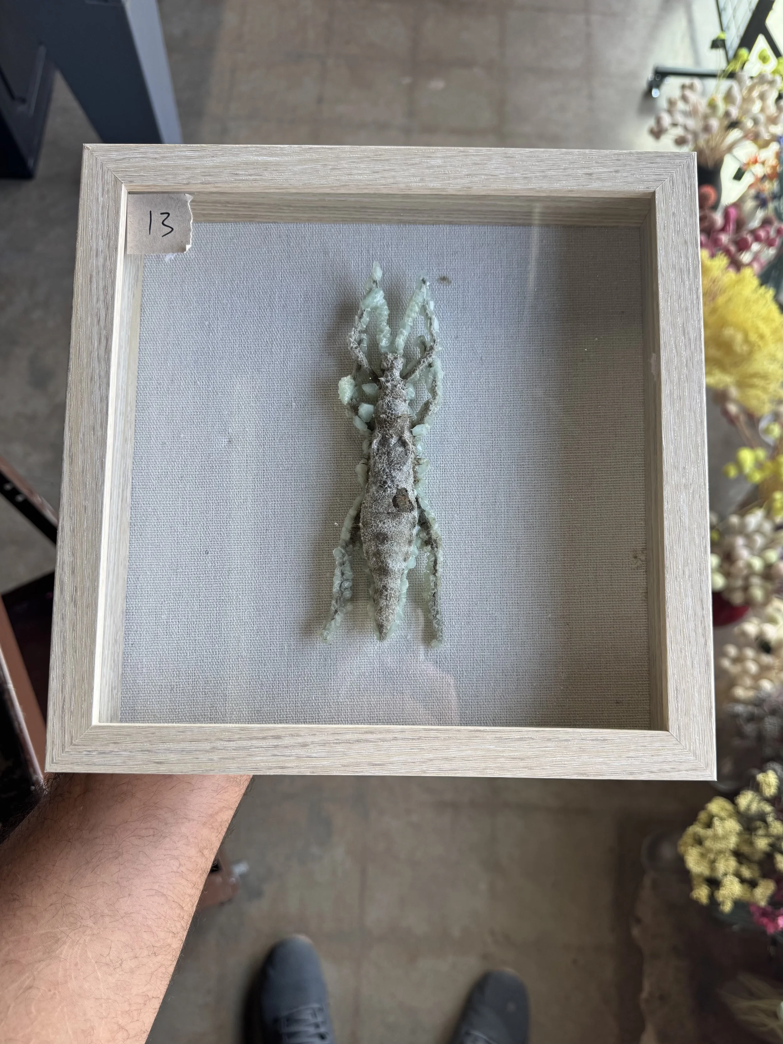 Photo Apr 29 2026, 10 07 39 AM.jpg