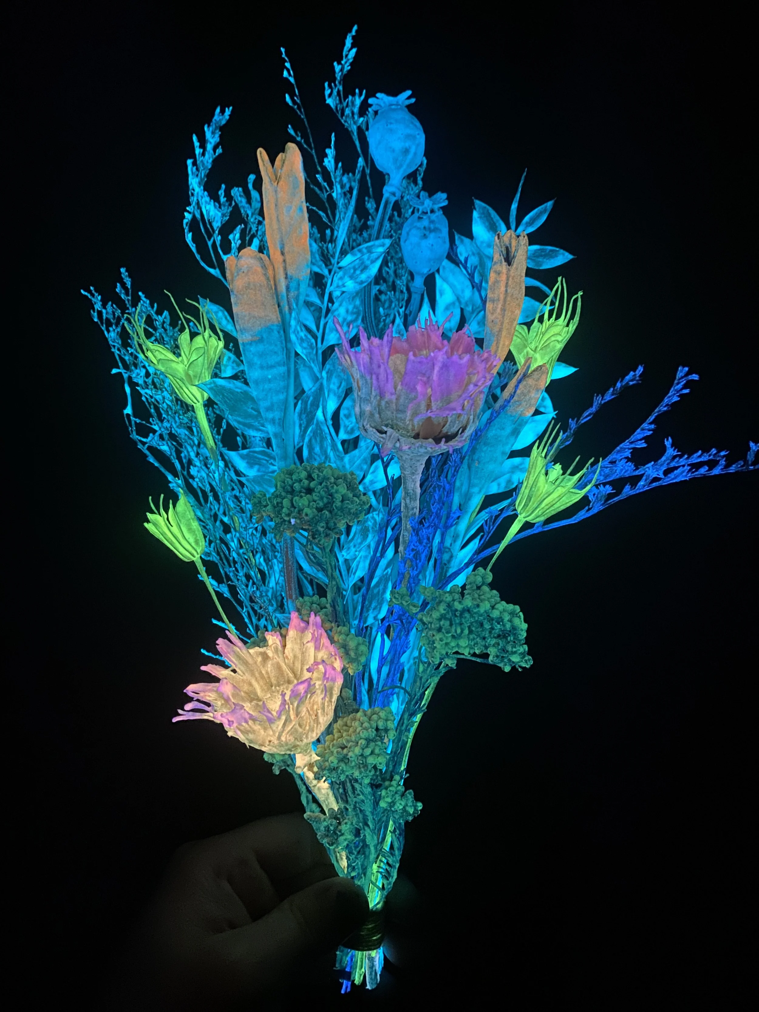 Photo Apr 28 2026, 10 39 35 AM.jpg