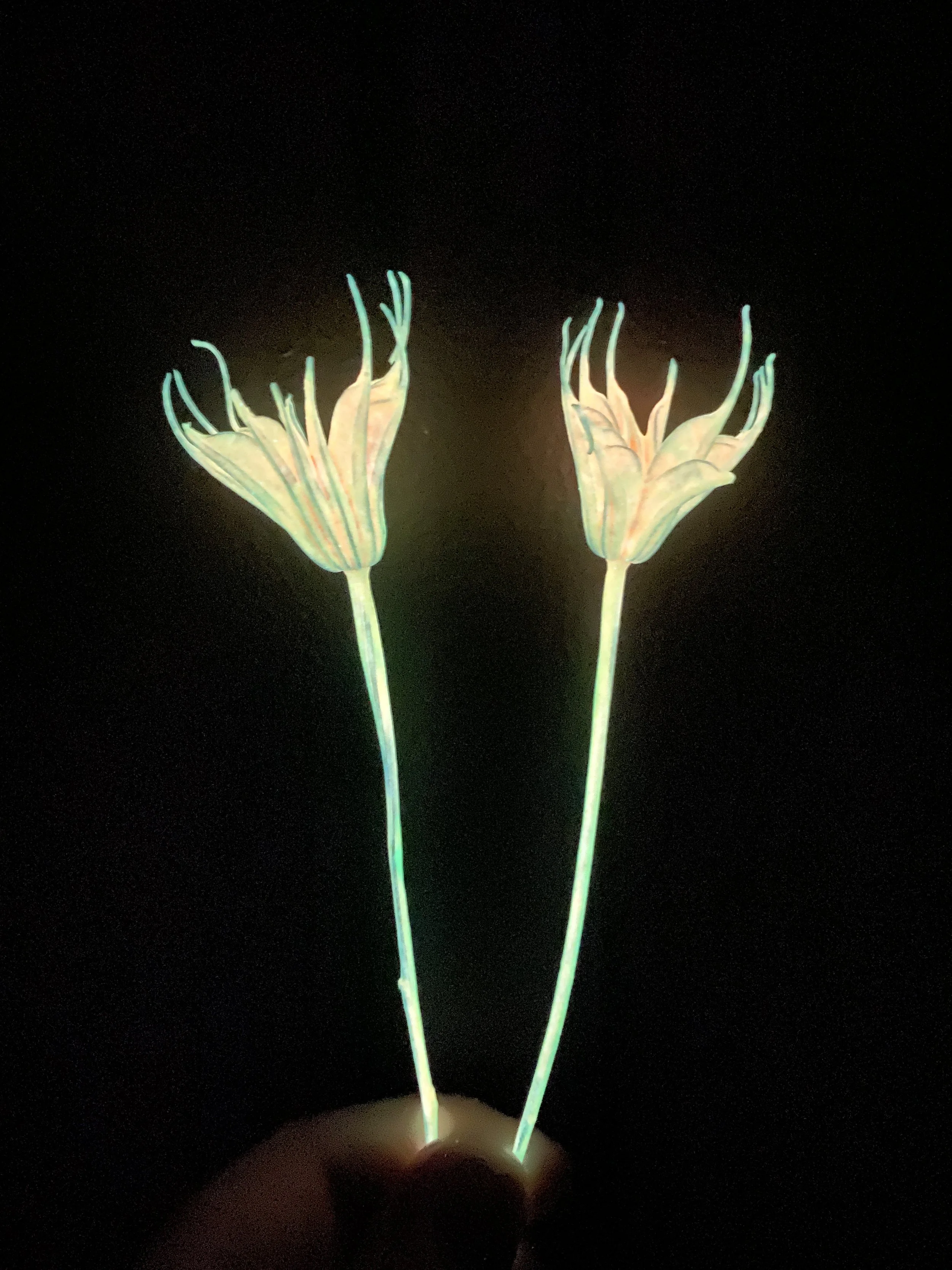 Photo Mar 12 2026, 12 25 47 PM.jpg