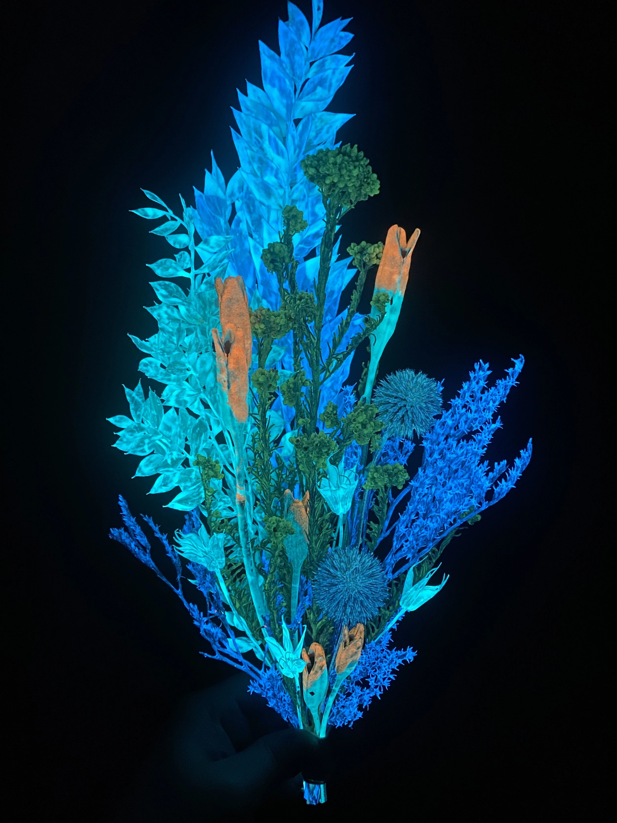 Photo Apr 28 2026, 1 05 41 PM.jpg