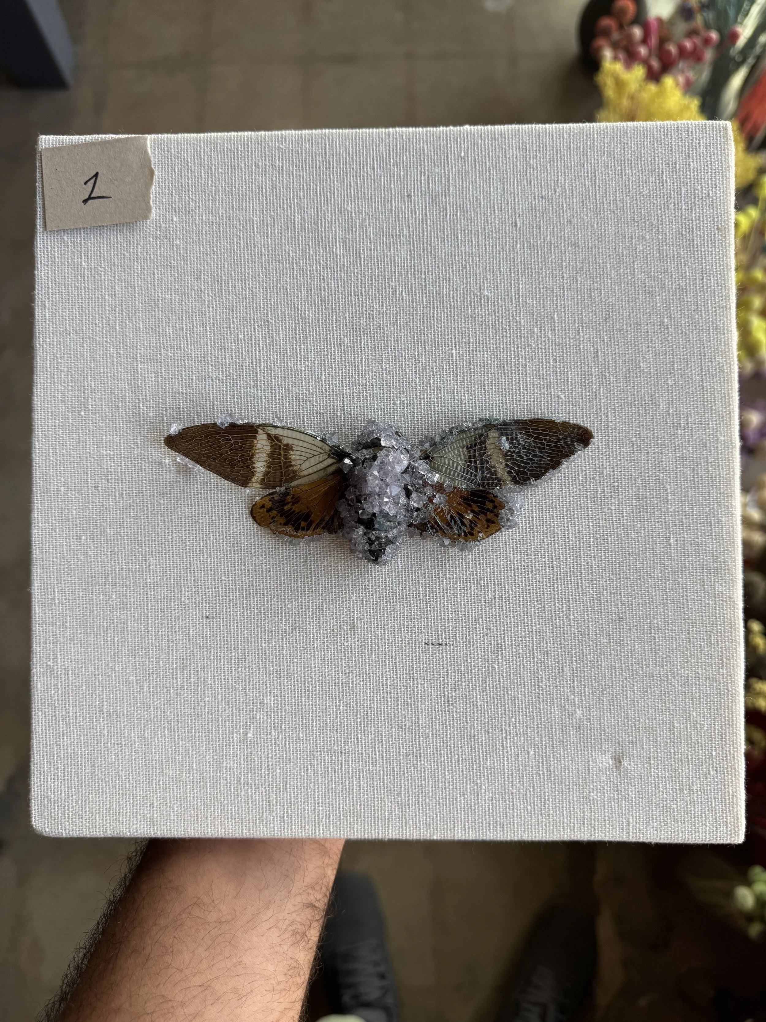 Photo Apr 29 2026, 9 47 42 AM.jpg