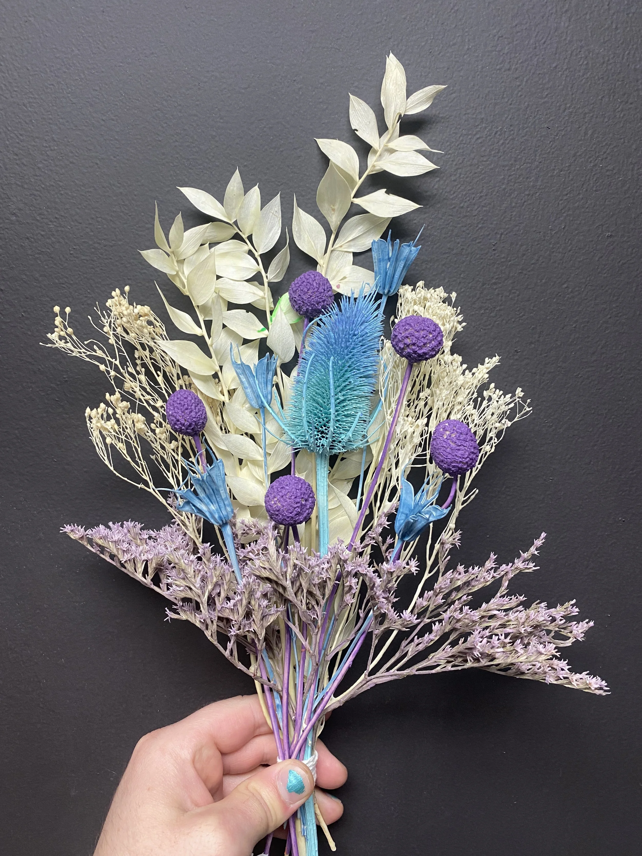 Photo Apr 28 2026, 12 29 48 PM.jpg