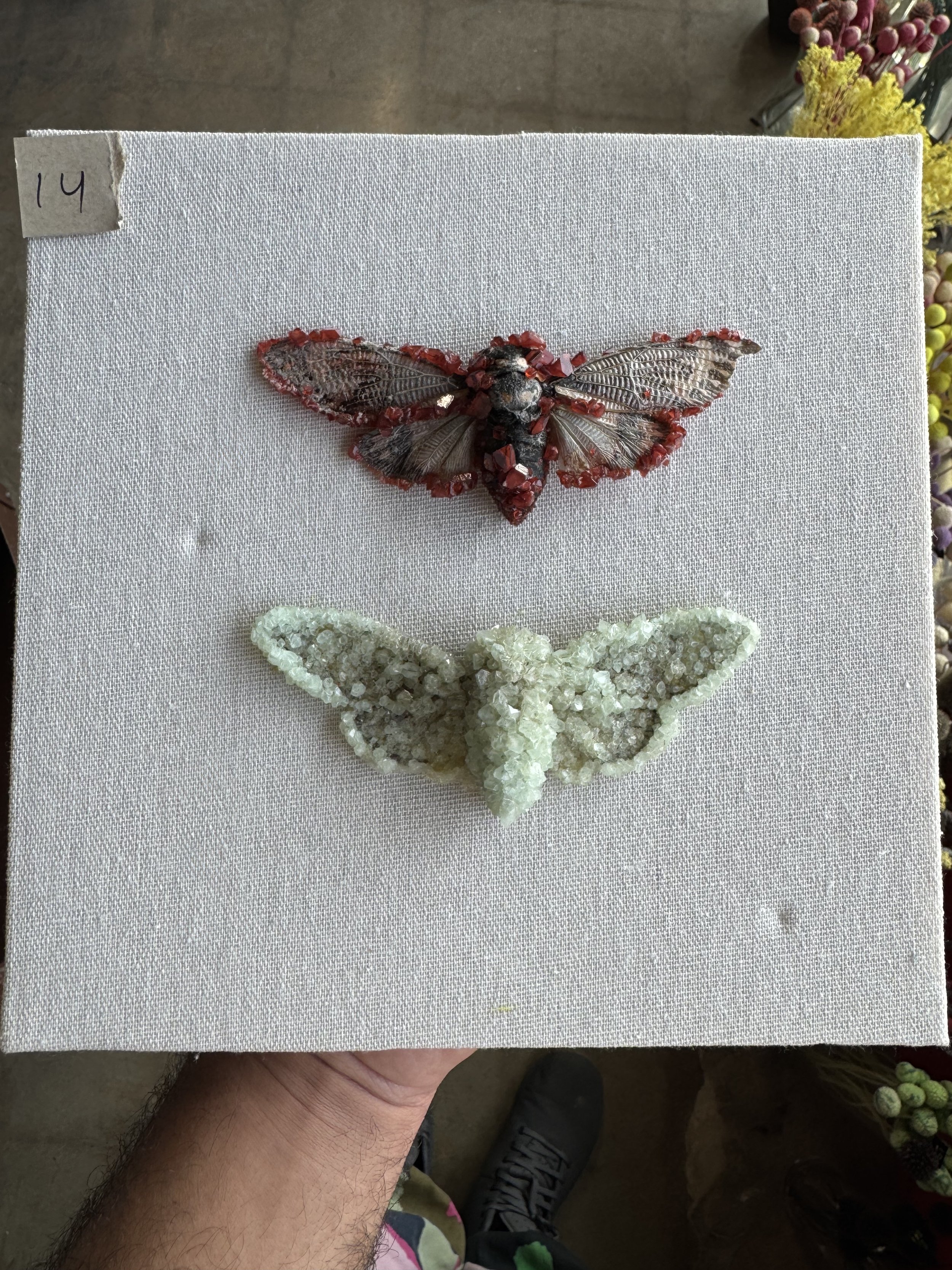 Photo Apr 29 2026, 10 00 24 AM.jpg