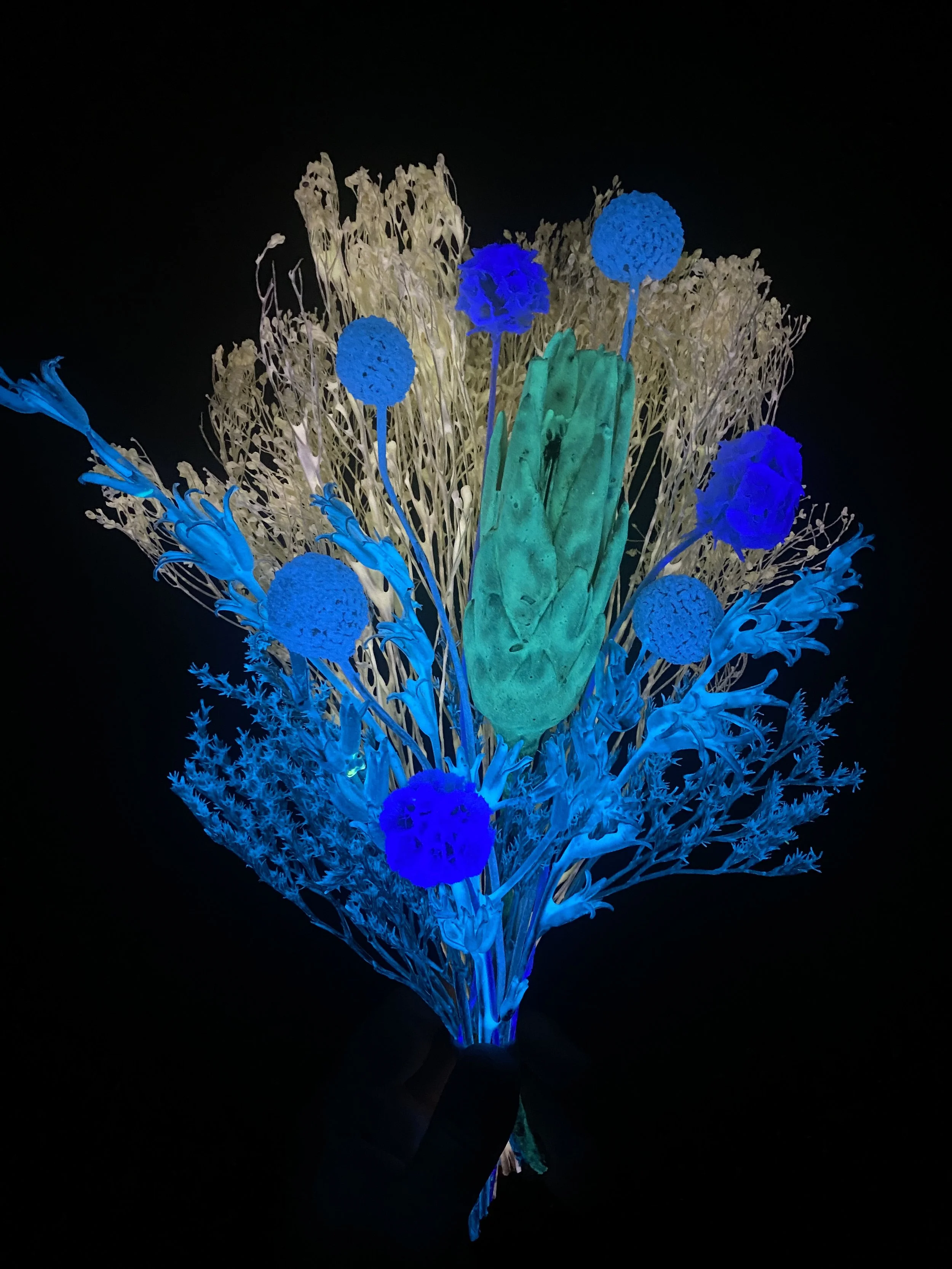 Photo Apr 28 2026, 11 36 50 AM.jpg