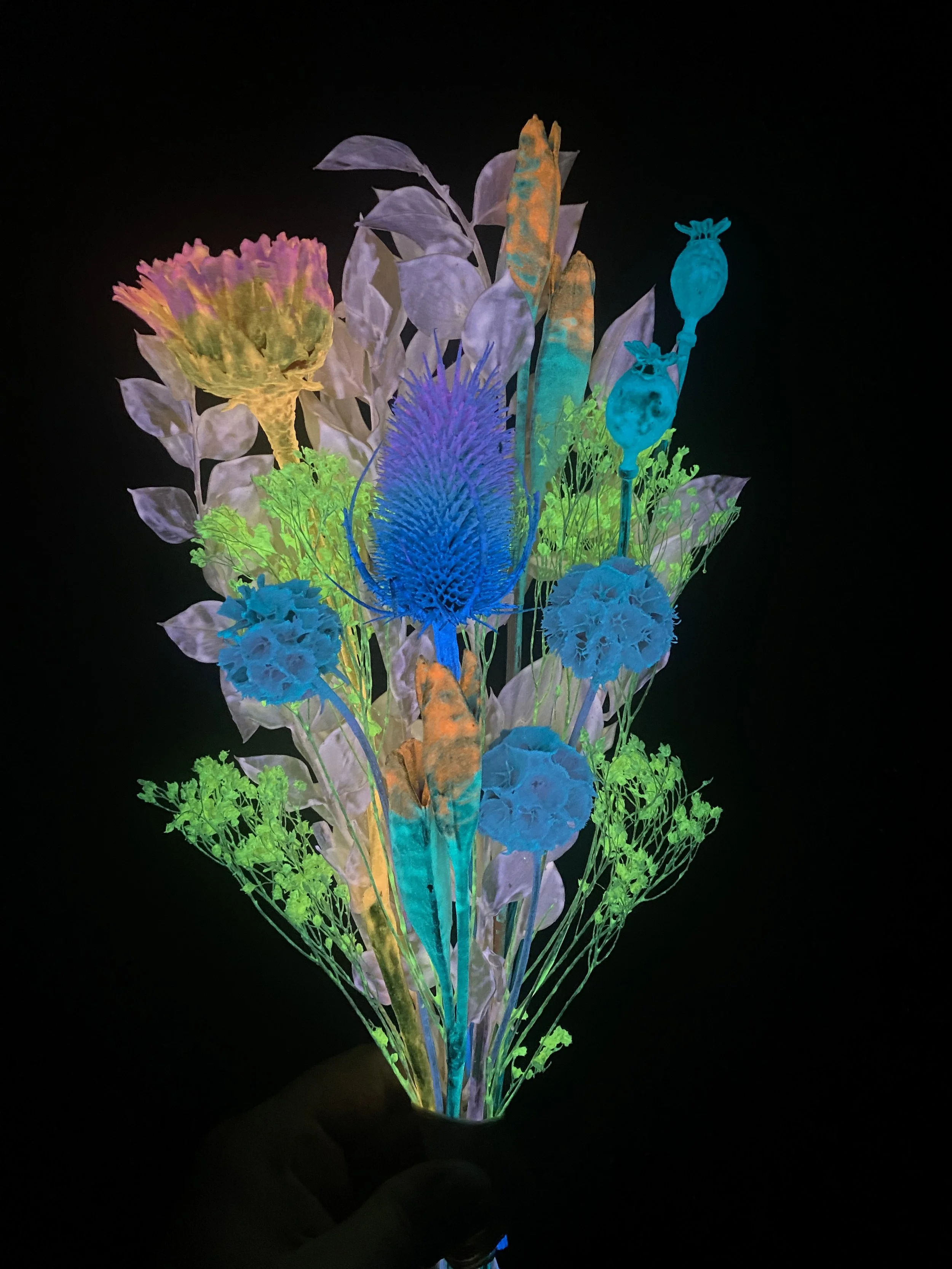 Photo Apr 28 2026, 10 41 48 AM.jpg