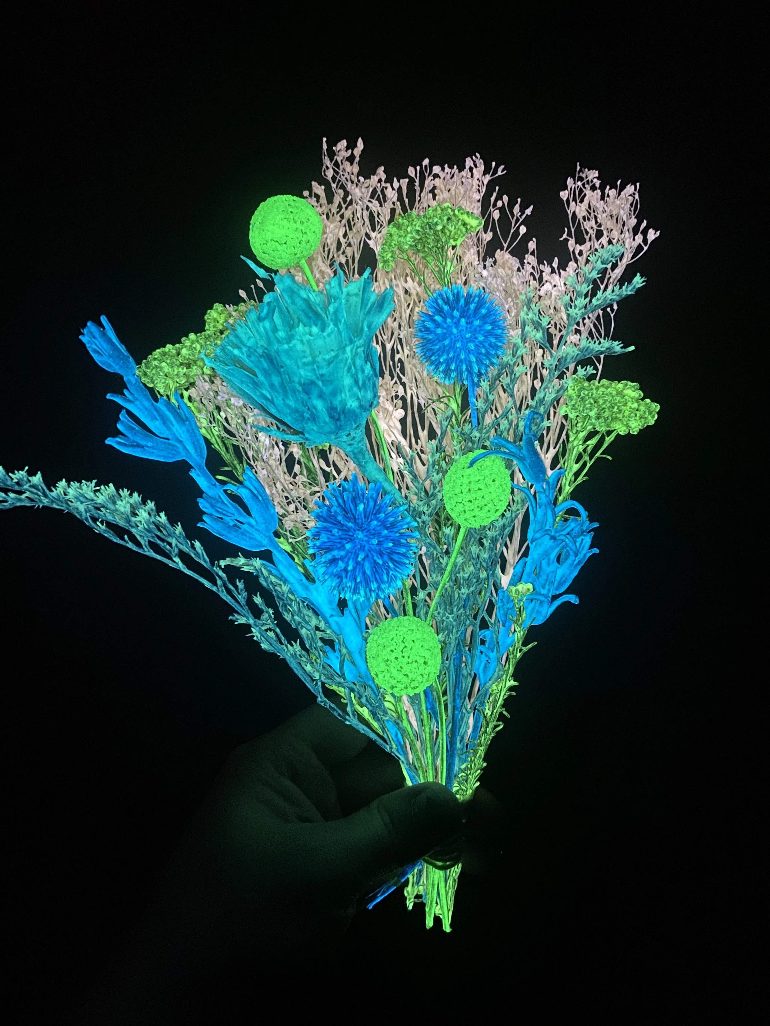 Photo Apr 28 2026, 12 09 55 PM.jpg