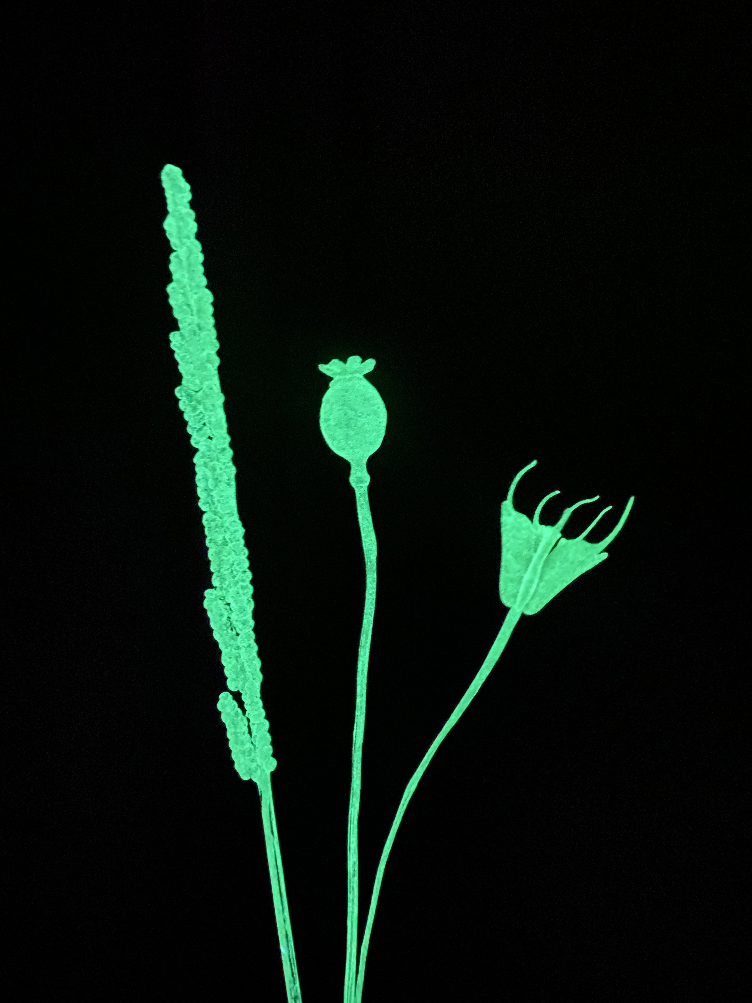 Photo Feb 27 2026, 12 26 52 PM.jpg