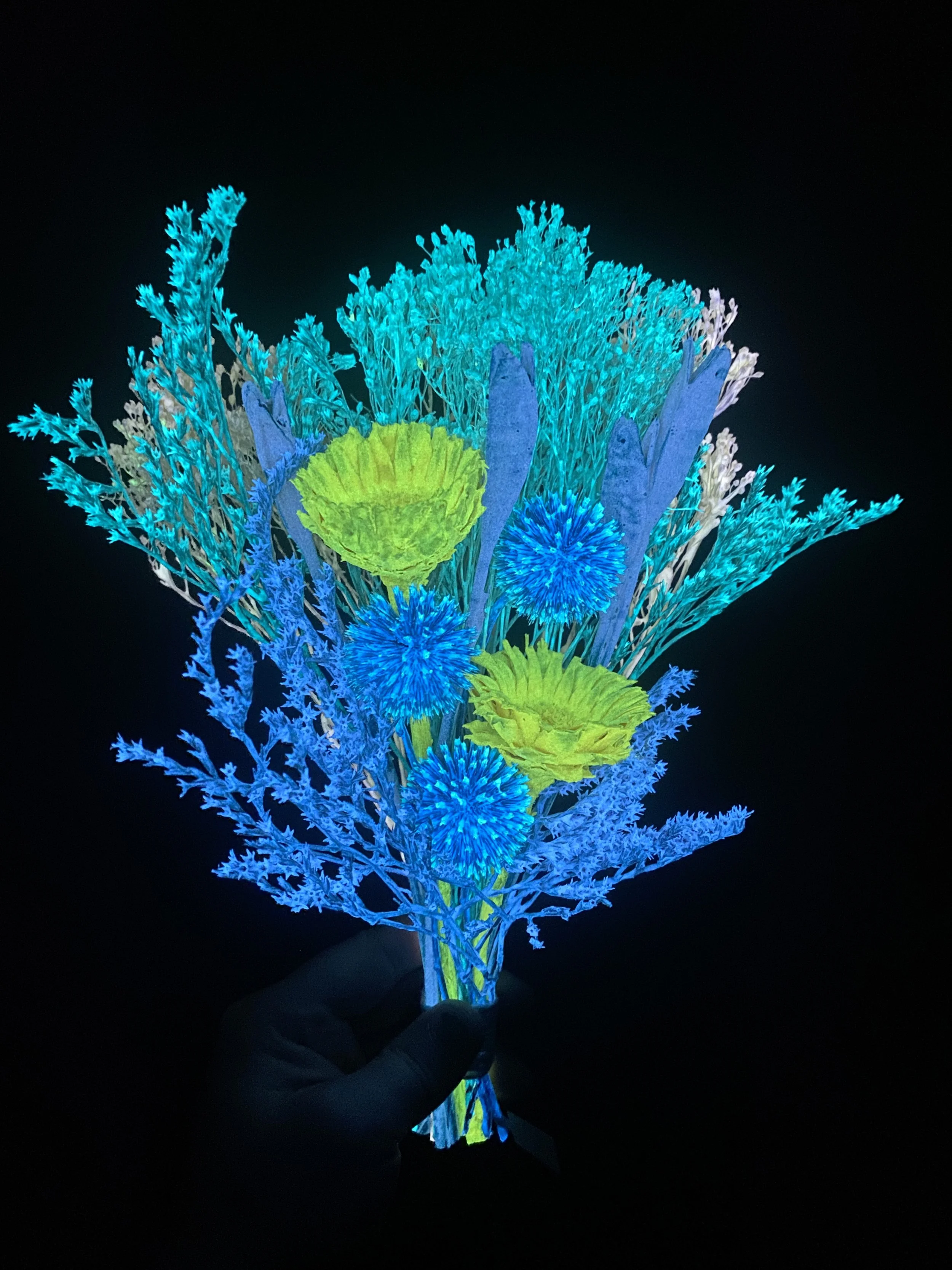 Photo Apr 28 2026, 12 19 31 PM.jpg