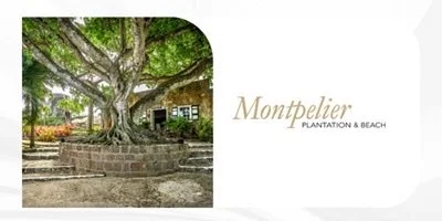 Montpelier Plantation