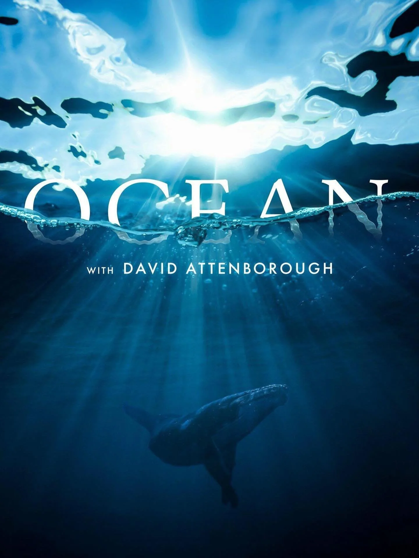 TONIGHT! 
Island Girls Rock x National Geographic x Nevis Aquatic and Sailing Center

Join us for a magical community screening of OCEAN, narrated by Sir David Attenborough 🎥✨

📍 Nevis Aquatic &amp; Sailing Center
🕕 6PM
🎟 FREE
🧺 Bring your blank