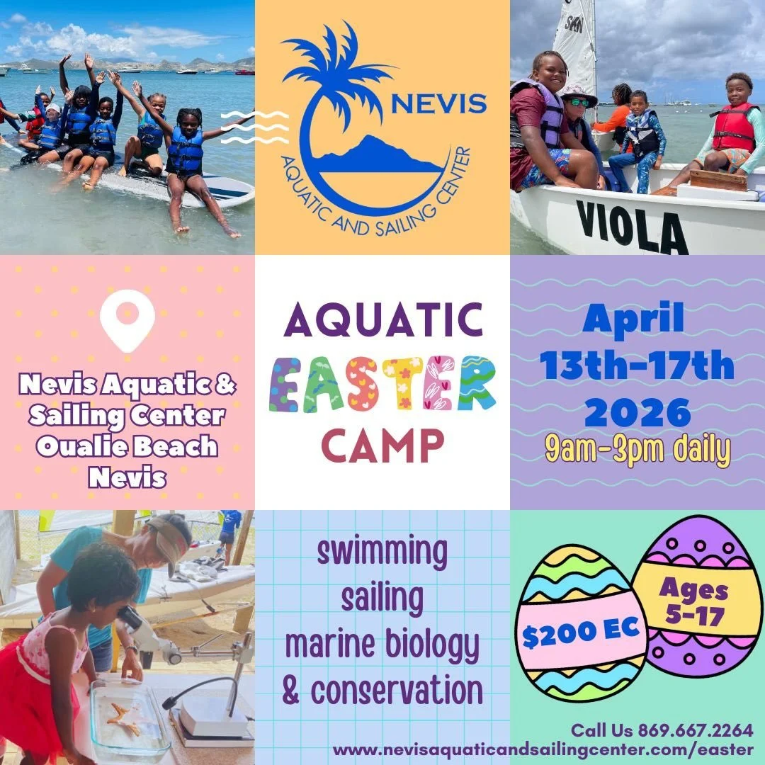 Join us at the Nevis Aquatic and Sailing Center for our Aquatic Easter Camp! 

From April 13&ndash;17, 2026, kids ages 5&ndash;17 will enjoy five fun-filled days of:
🏊&zwj;♀️ Swimming
⛵ Sailing
🔬 Marine biology
🌱 Ocean conservation

Www.nevisaquat